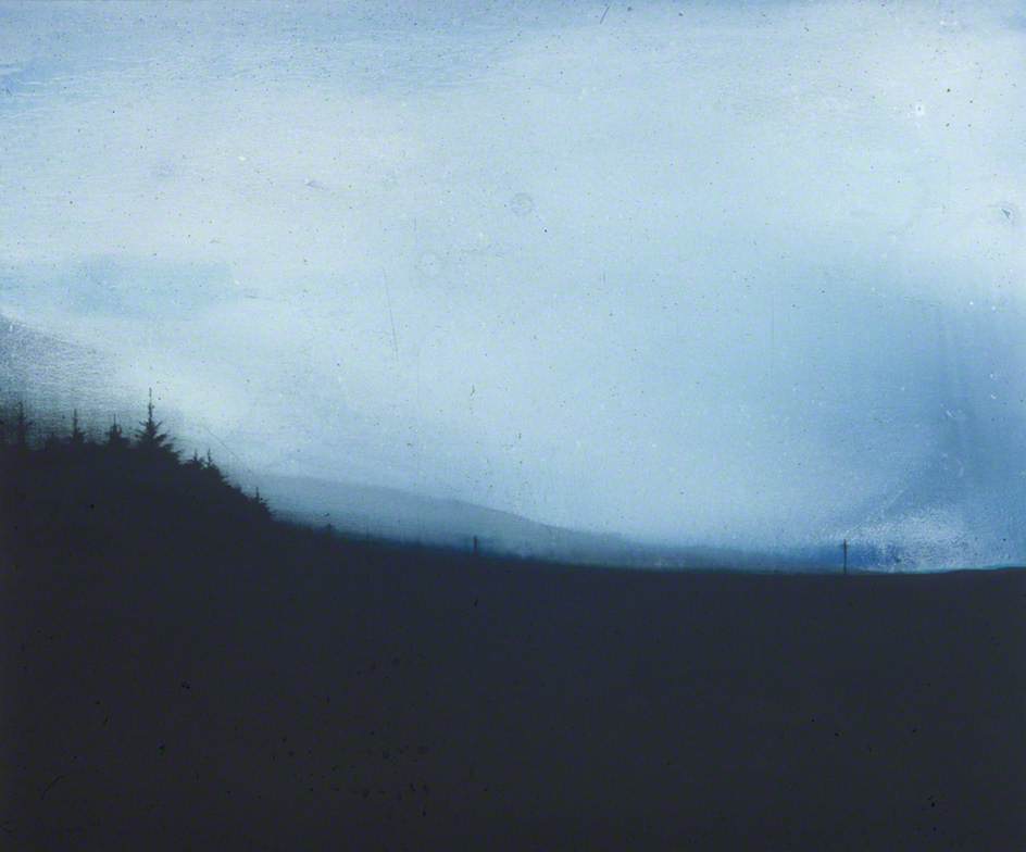 Wikioo.org - The Encyclopedia of Fine Arts - Painting, Artwork by Elizabeth Magill - Forest Edge I