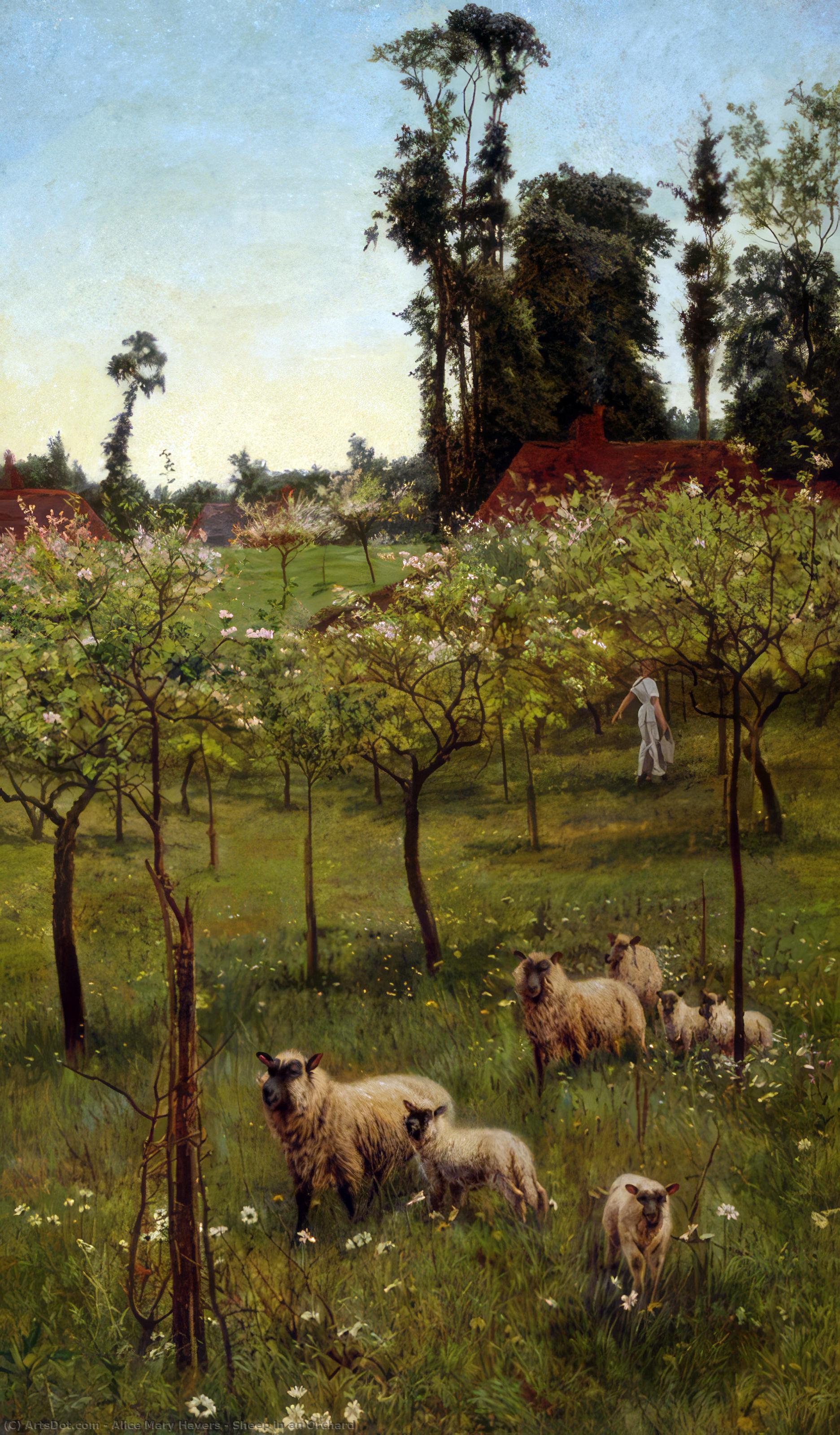 Wikioo.org - The Encyclopedia of Fine Arts - Painting, Artwork by Alice Mary Havers - Sheep in an Orchard