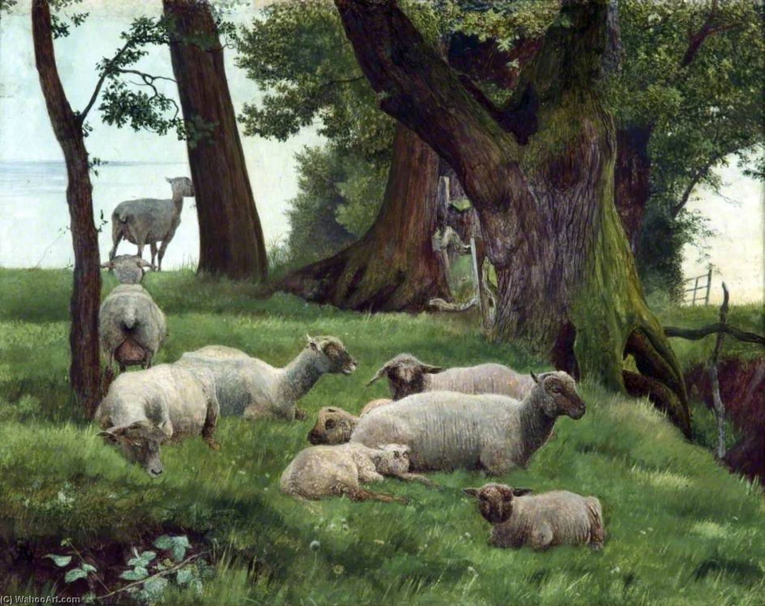 Wikioo.org - The Encyclopedia of Fine Arts - Painting, Artwork by Daniel Alexander Williamson - Sheep Resting