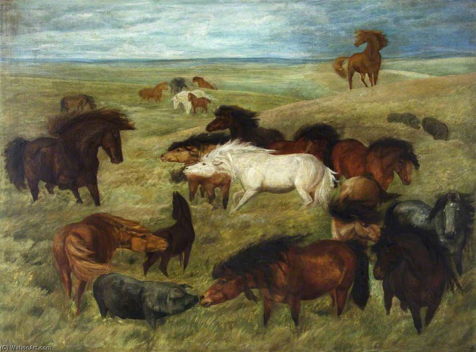 Wikioo.org - The Encyclopedia of Fine Arts - Painting, Artwork by John Trivett Nettleship - Wild Horses and Pigs