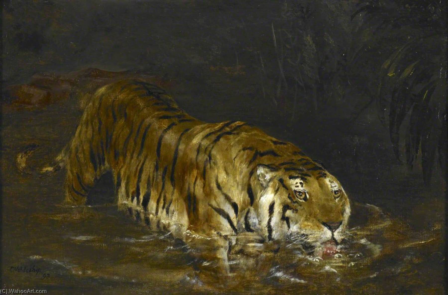 Wikioo.org - The Encyclopedia of Fine Arts - Painting, Artwork by John Trivett Nettleship - Tiger Drinking at a Jungle Pool