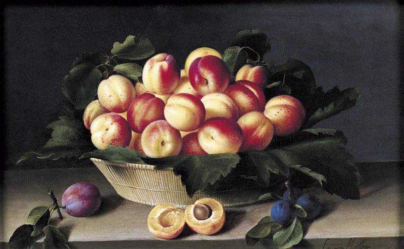 Wikioo.org - The Encyclopedia of Fine Arts - Painting, Artwork by Louise Moillon - Nature morte aux abricots fruits