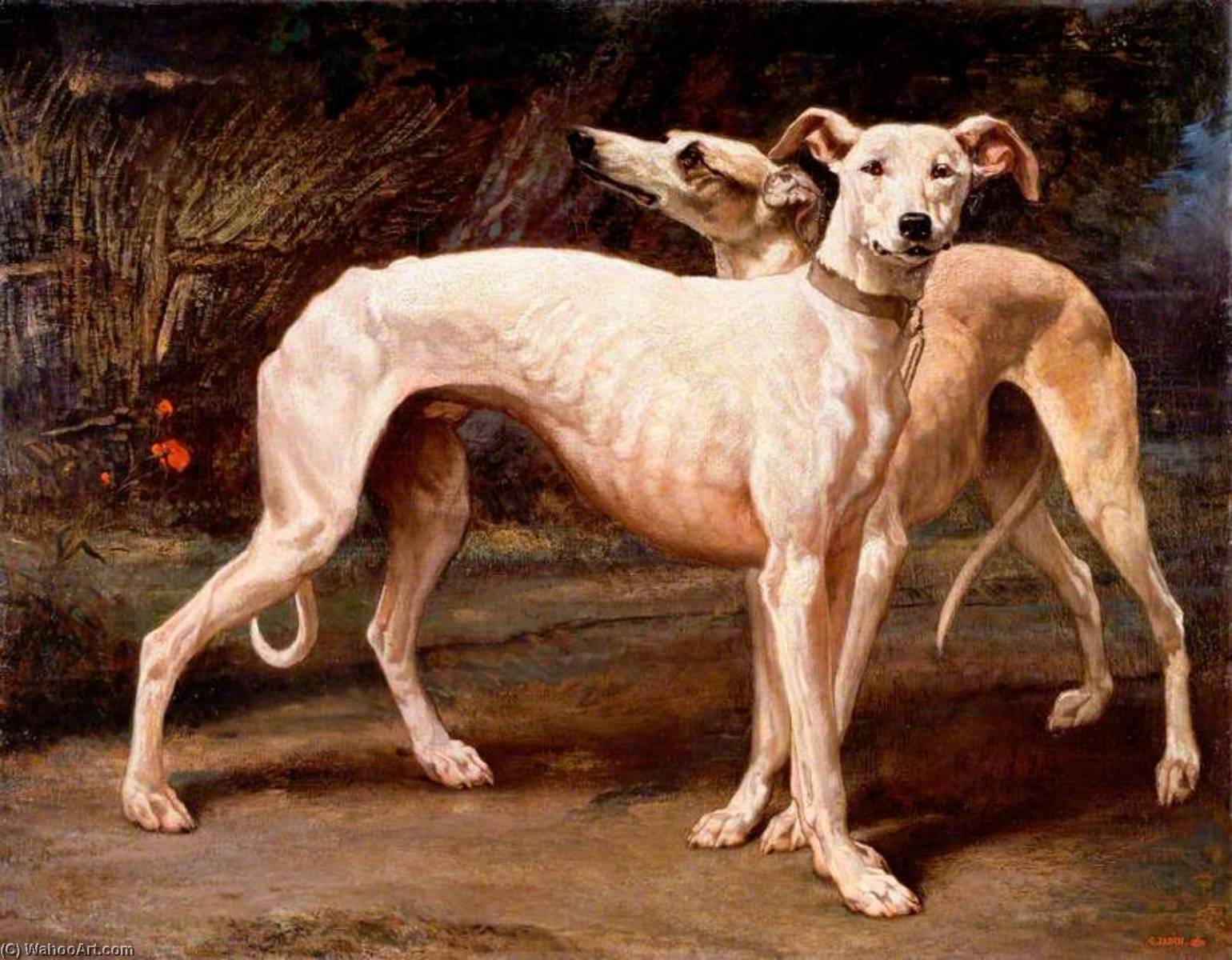 WikiOO.org - Enciclopedia of Fine Arts - Pictura, lucrări de artă Louis Godefroy Jadin - Two Greyhounds