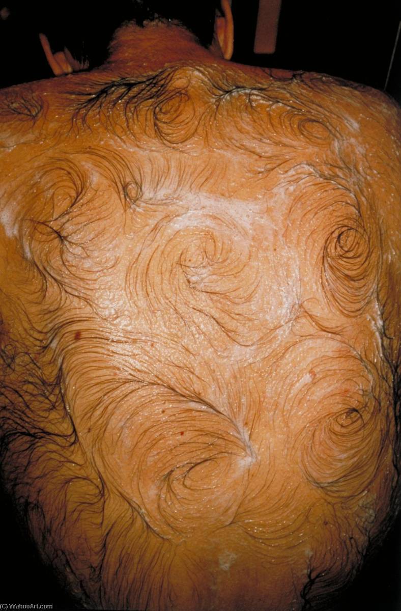 Wikioo.org - Encyklopedia Sztuk Pięknych - Malarstwo, Grafika Mona Hatoum - Van Gogh’s Back