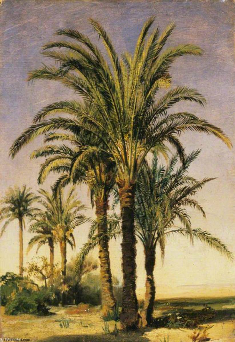 Wikioo.org - The Encyclopedia of Fine Arts - Painting, Artwork by Georges Antoine Prosper Marilhat - Palm Trees
