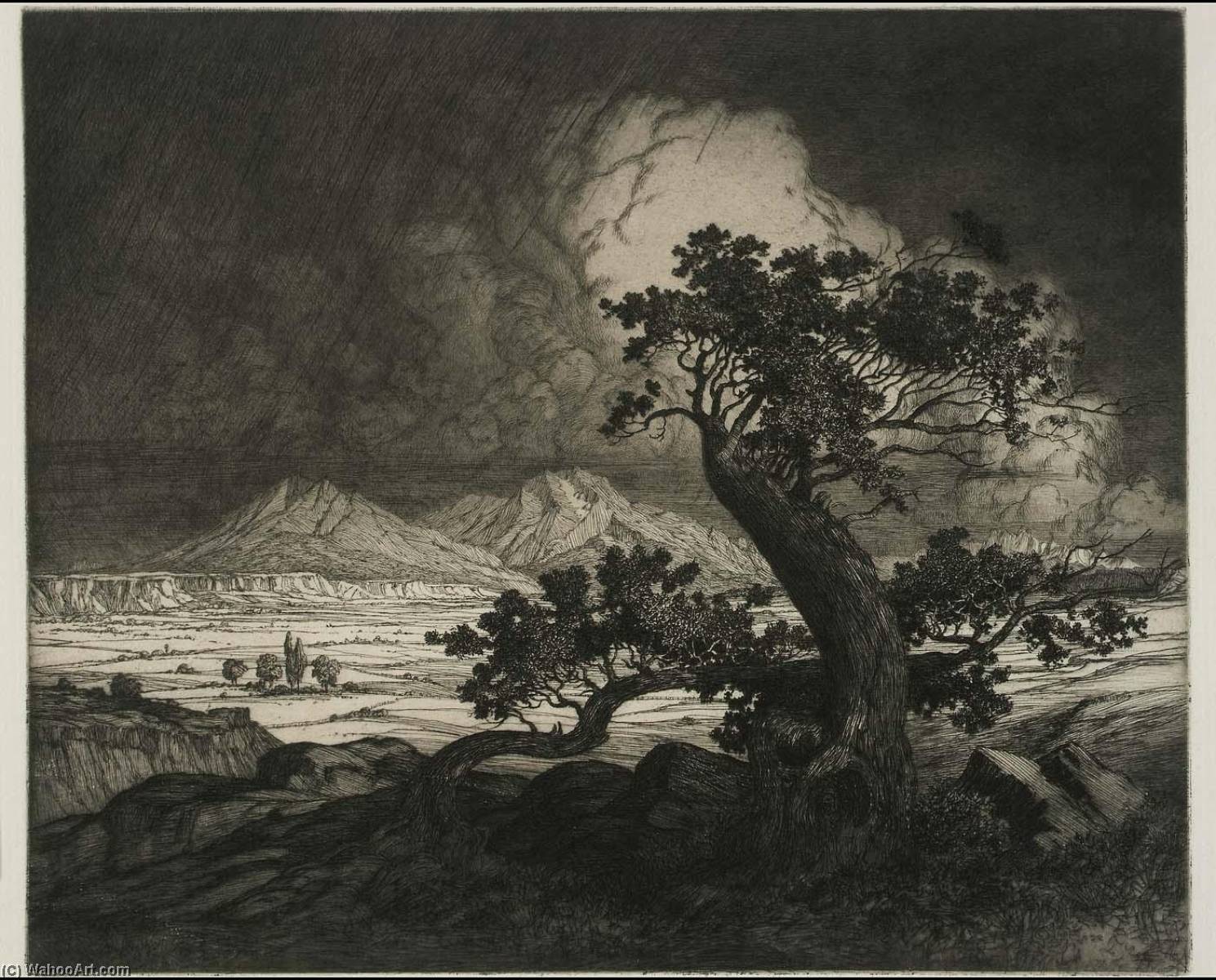 Wikioo.org - Bách khoa toàn thư về mỹ thuật - Vẽ tranh, Tác phẩm nghệ thuật George Elbert Burr - Old Cedars and Spanish Peaks