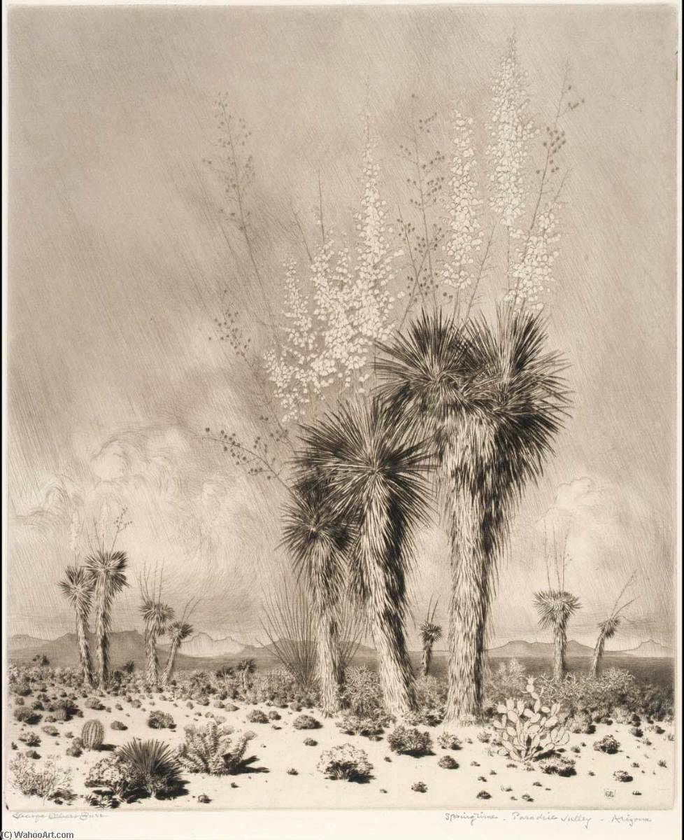 Wikioo.org - The Encyclopedia of Fine Arts - Painting, Artwork by George Elbert Burr - Springtime, Paradise Valley, Arizona