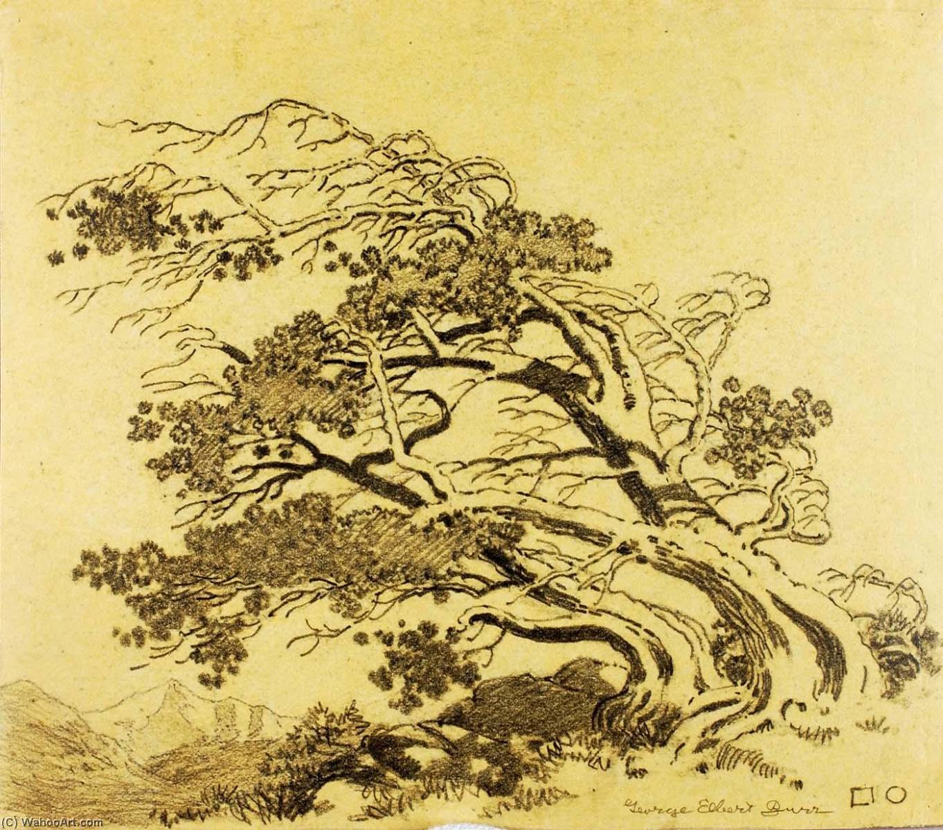 WikiOO.org - Encyclopedia of Fine Arts - Lukisan, Artwork George Elbert Burr - Untitled (transfer drawing for Pines in Wind, Estes Park)