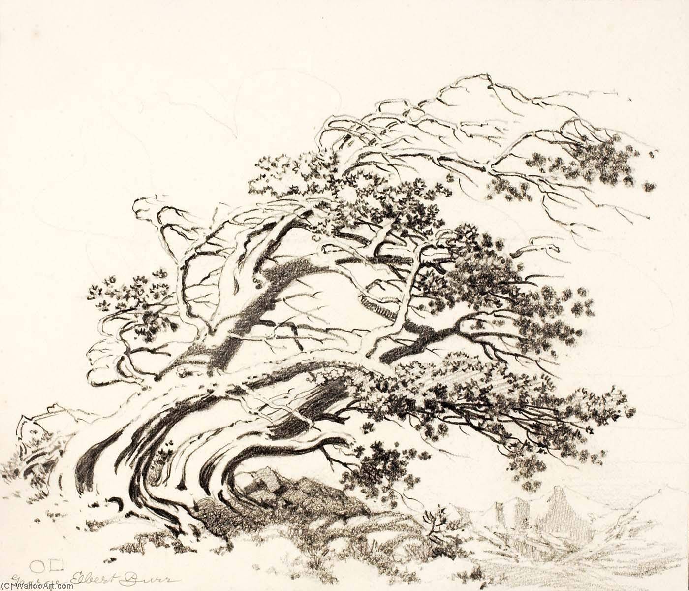 Wikioo.org - The Encyclopedia of Fine Arts - Painting, Artwork by George Elbert Burr - Sketch for Pines in Wind, Estes Park