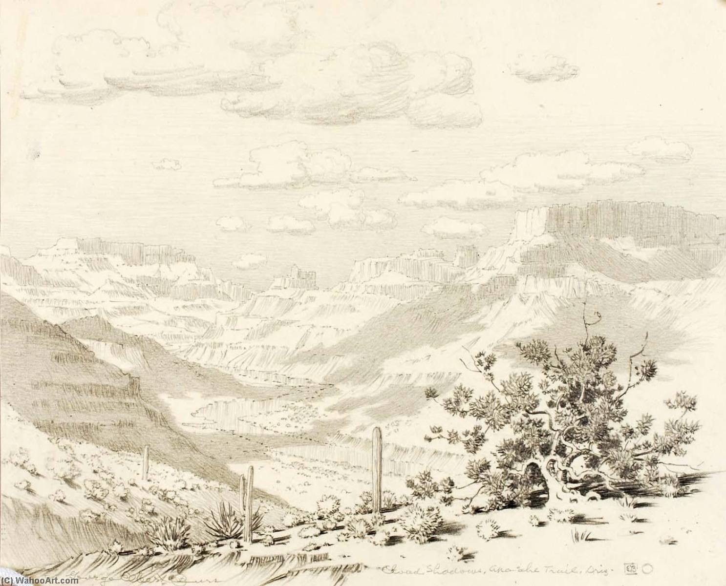 Wikioo.org - The Encyclopedia of Fine Arts - Painting, Artwork by George Elbert Burr - Cloud Shadows, Apache Trail, Arizona