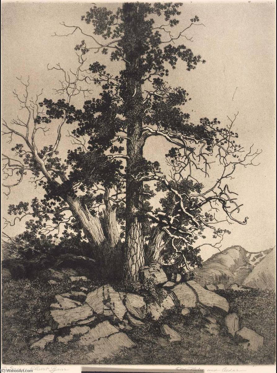 Wikioo.org – L'Enciclopedia delle Belle Arti - Pittura, Opere di George Elbert Burr - vecchio pino e le  Cedro