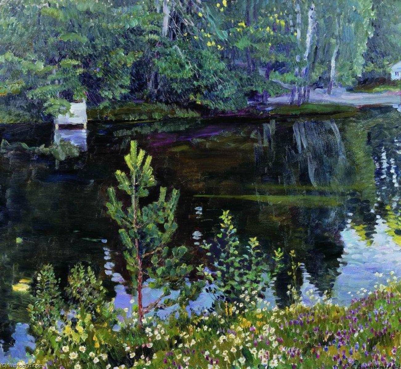 Wikioo.org - The Encyclopedia of Fine Arts - Painting, Artwork by Sergei Arsenievich Vinogradov - Lake