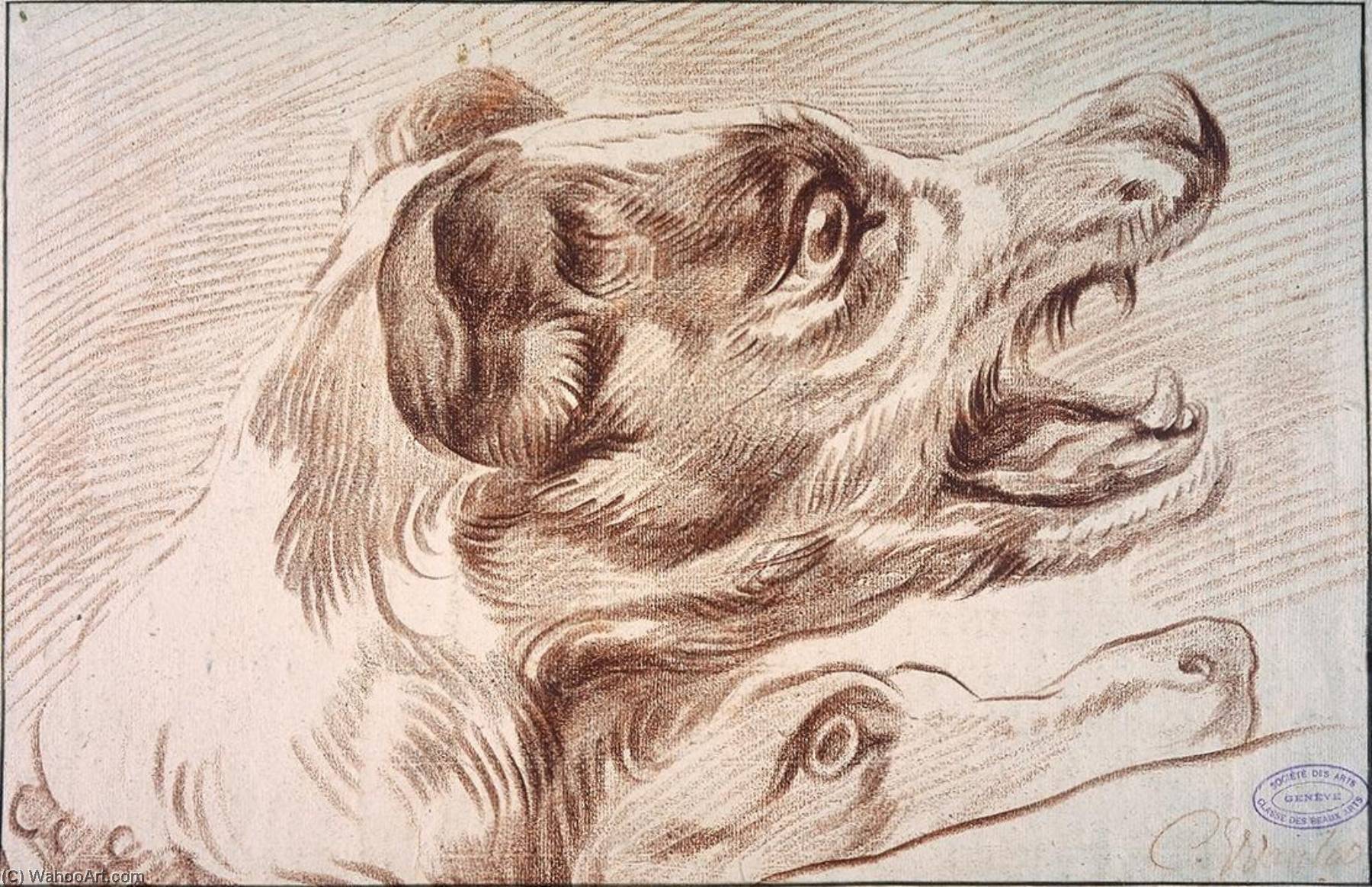 WikiOO.org - Енциклопедия за изящни изкуства - Живопис, Произведения на изкуството Charles-André Van Loo (Carle Van Loo) - Head of a Dog