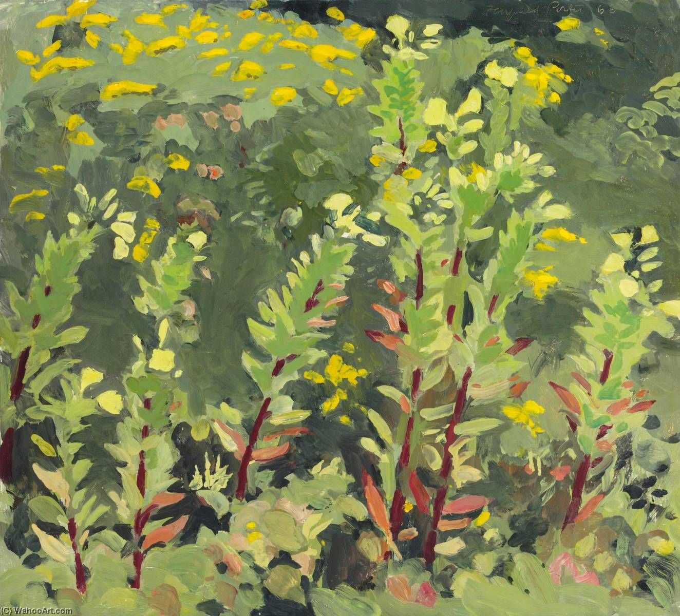 Wikioo.org - The Encyclopedia of Fine Arts - Painting, Artwork by Fairfield Porter - Primroses and Goldenrod