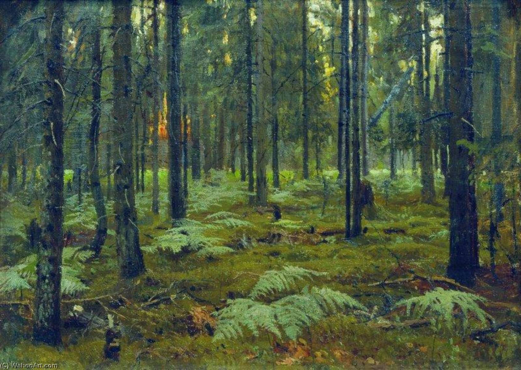 Wikioo.org - The Encyclopedia of Fine Arts - Painting, Artwork by Stanislav Zhukovsky - Ferns in the Forest