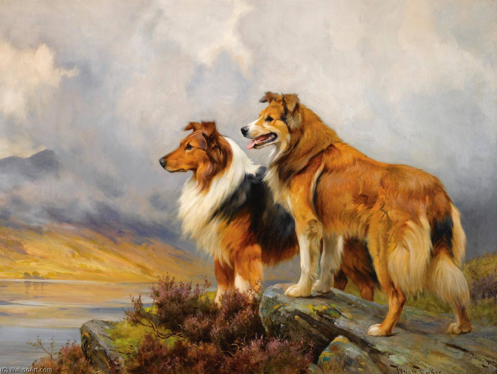 Wikioo.org - The Encyclopedia of Fine Arts - Painting, Artwork by Wright Barker - Two Collies above a Lake