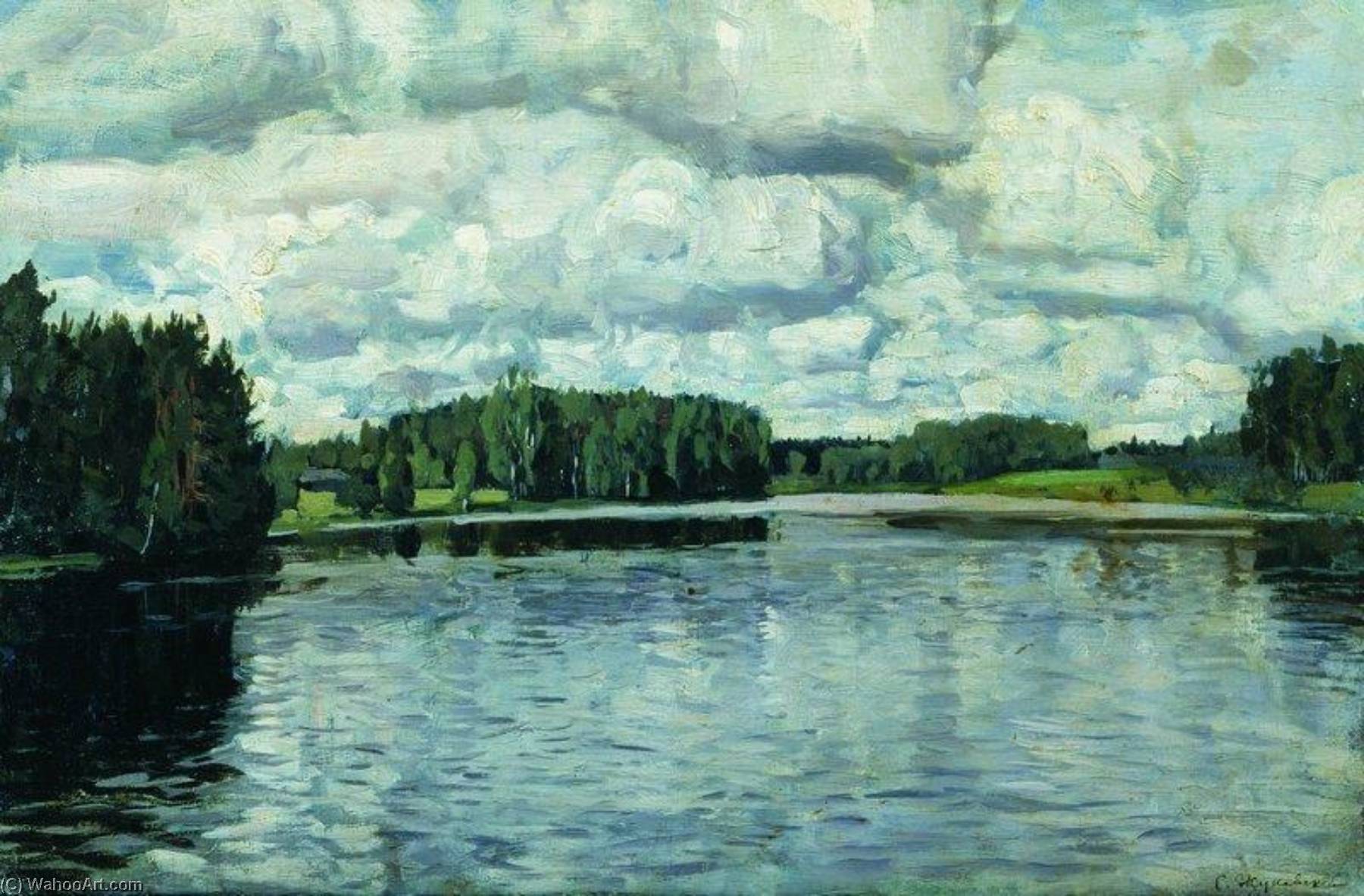 Wikioo.org - The Encyclopedia of Fine Arts - Painting, Artwork by Stanislav Zhukovsky - Grey Day