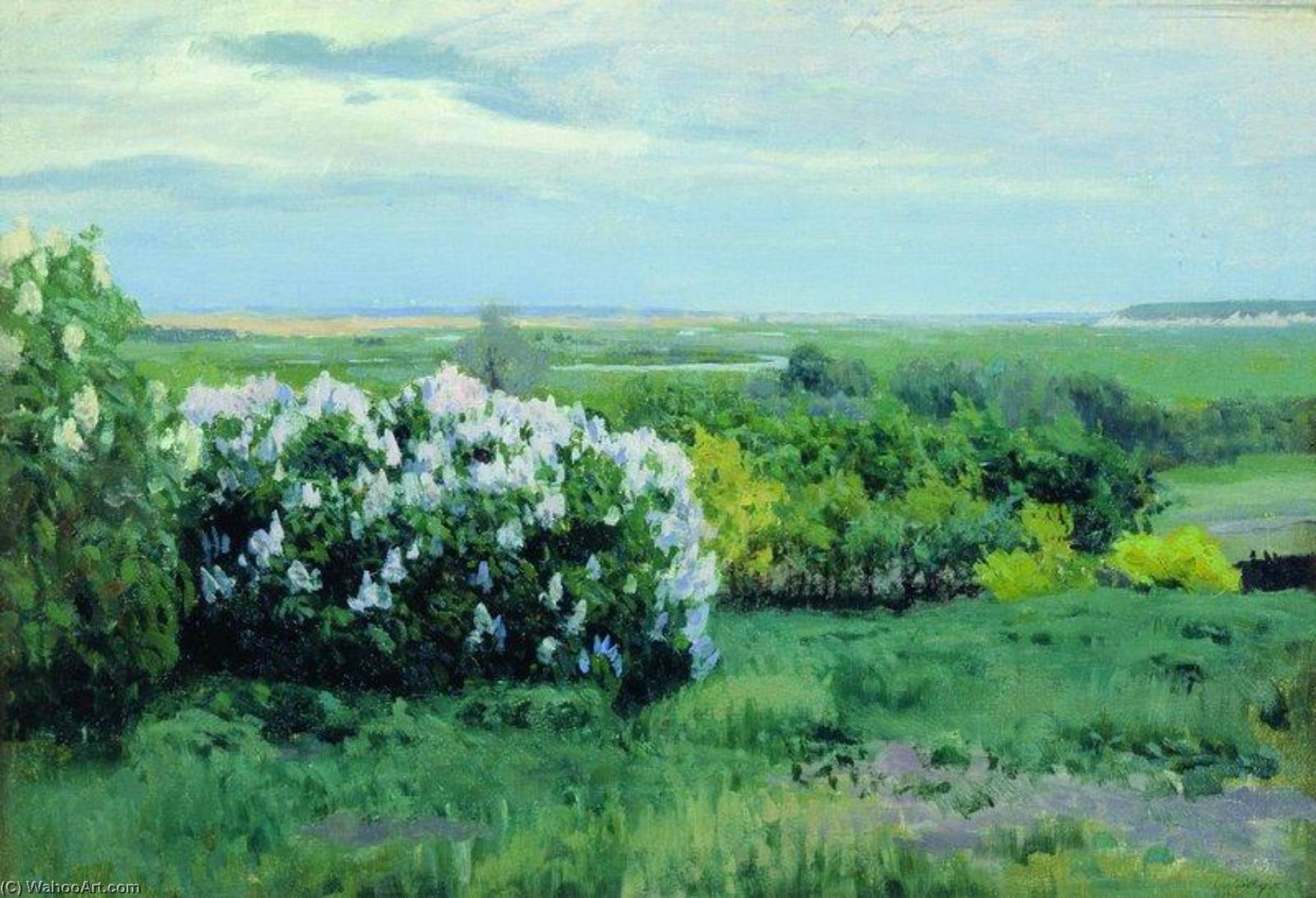 Wikioo.org - The Encyclopedia of Fine Arts - Painting, Artwork by Stanislav Zhukovsky - Lilac Bushes