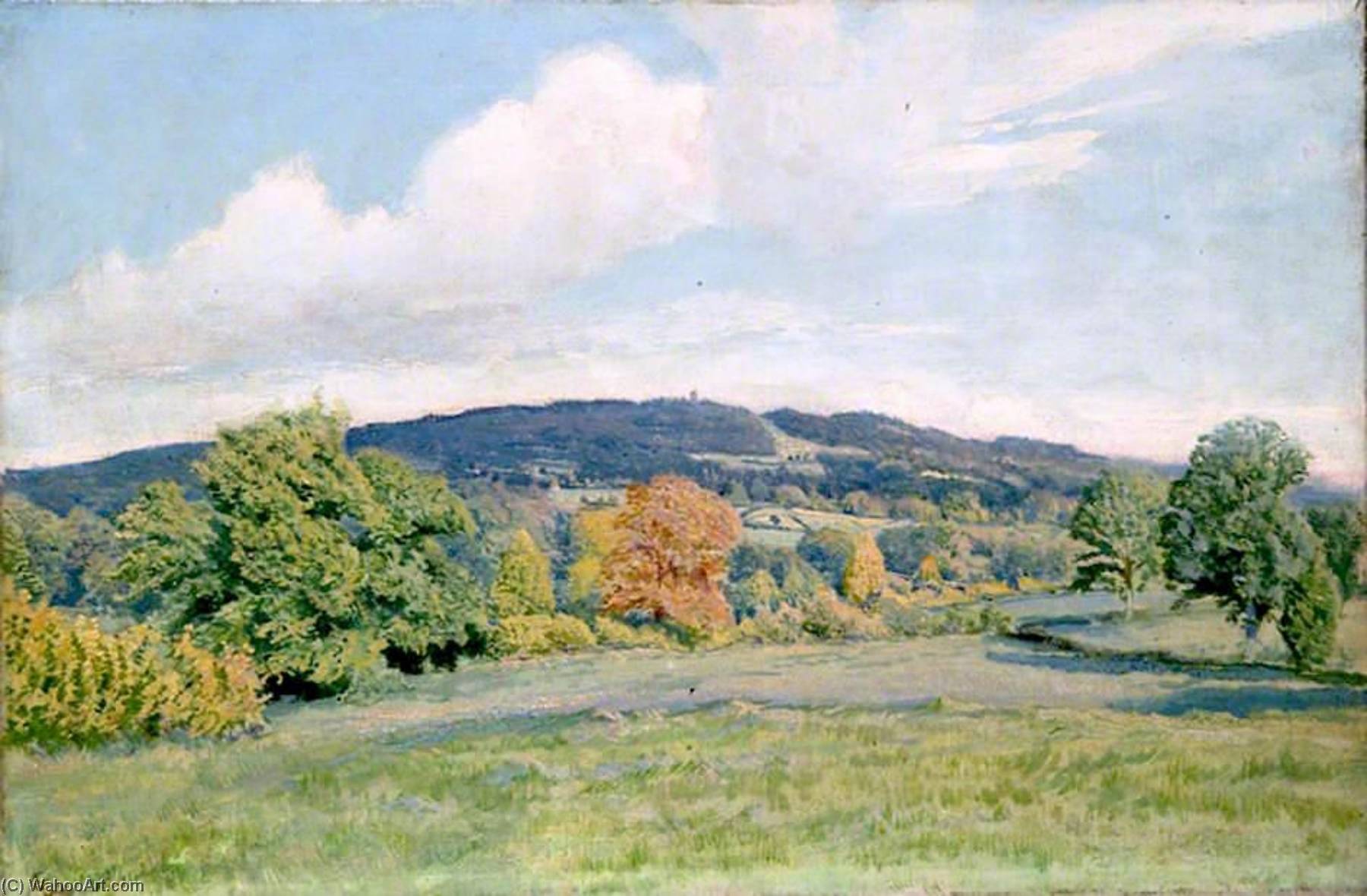 Wikioo.org - The Encyclopedia of Fine Arts - Painting, Artwork by Ernest C Christie - Distant View of Leith Hill, Surrey, with Tower