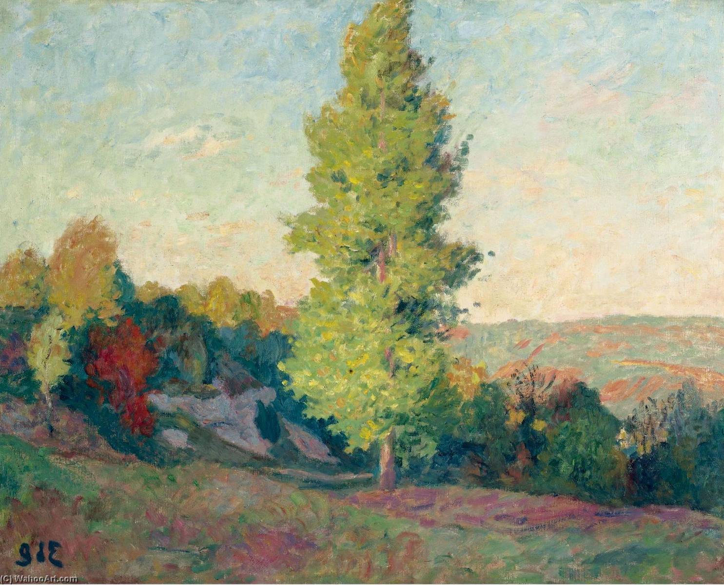Wikioo.org - The Encyclopedia of Fine Arts - Painting, Artwork by Georges Despagnat - Landscape