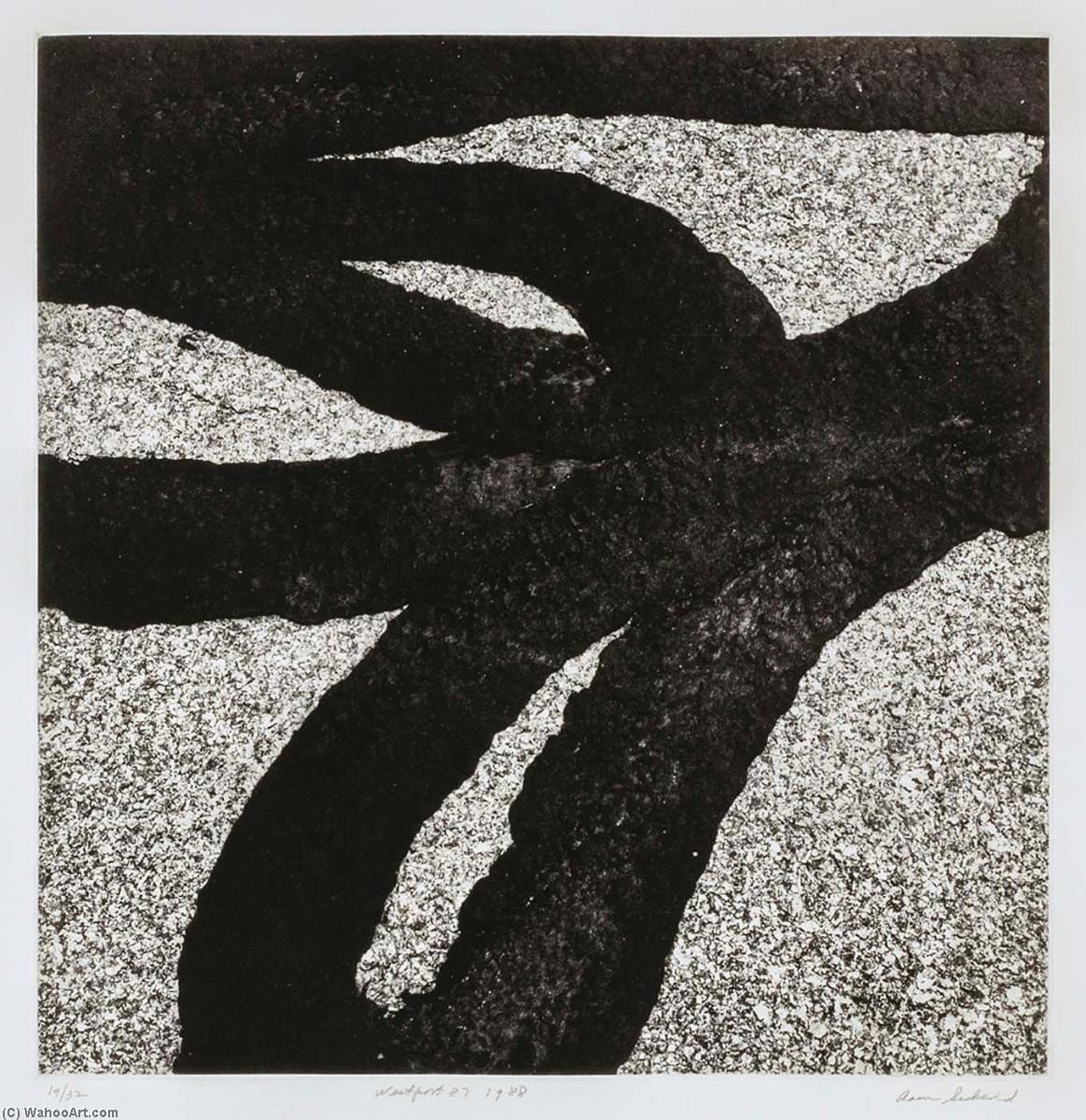 Wikioo.org - The Encyclopedia of Fine Arts - Painting, Artwork by Aaron Siskind - Westport 87, 1988, from the portfolio Tar Abstracts