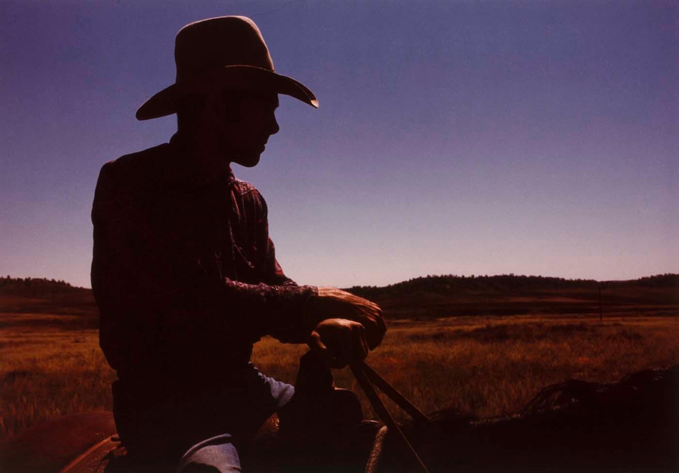 Wikioo.org – L'Enciclopedia delle Belle Arti - Pittura, Opere di Penny Diane Wolin - kaycee cowboy , dal Wyoming Documentario Indagine Progetto