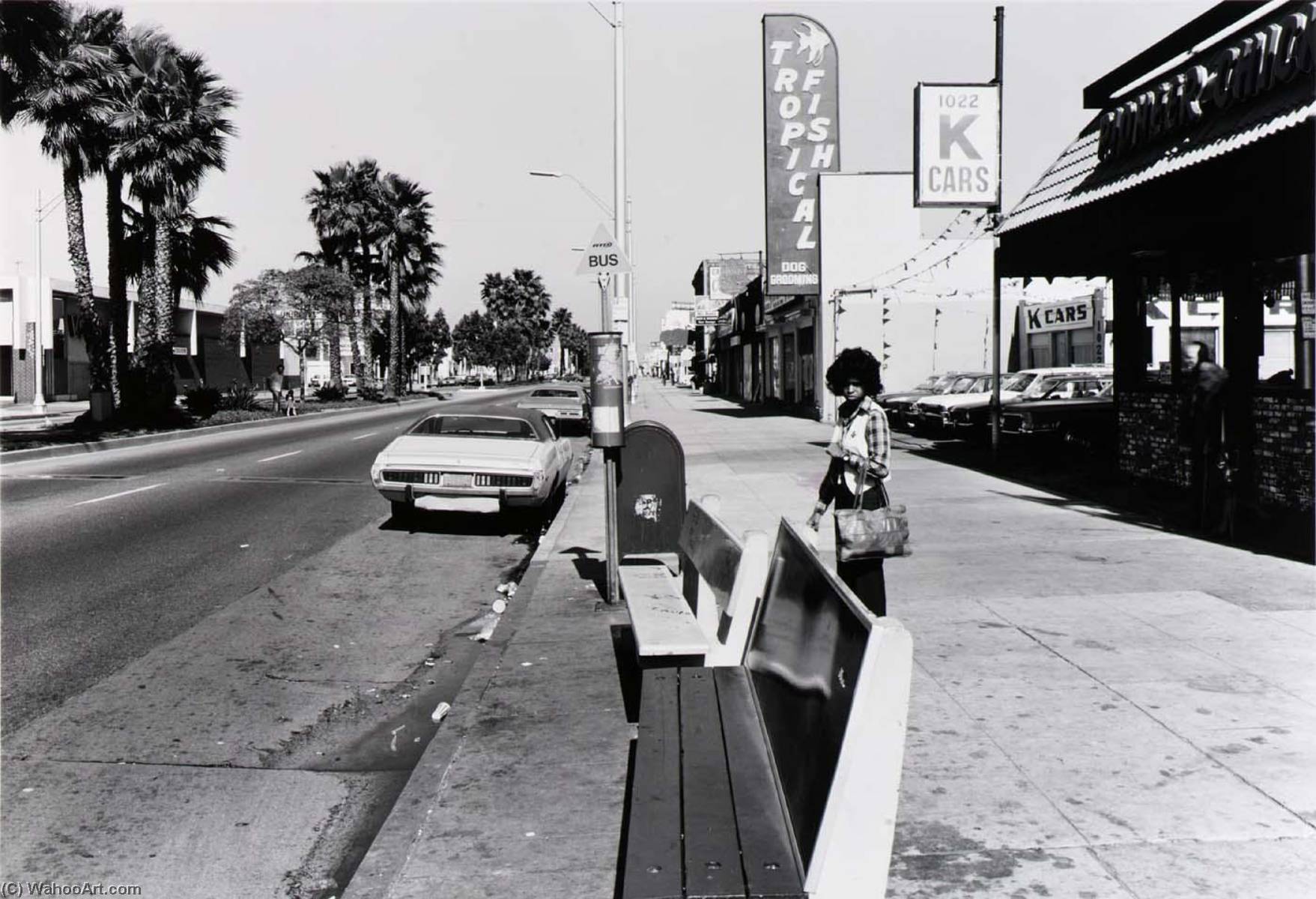 WikiOO.org - Енциклопедія образотворчого мистецтва - Живопис, Картини
 Anthony Hernandez - Public Transit Areas, 10th St. and Long Beach Blvd., Looking East, from the Long Beach Documentary Survey Project