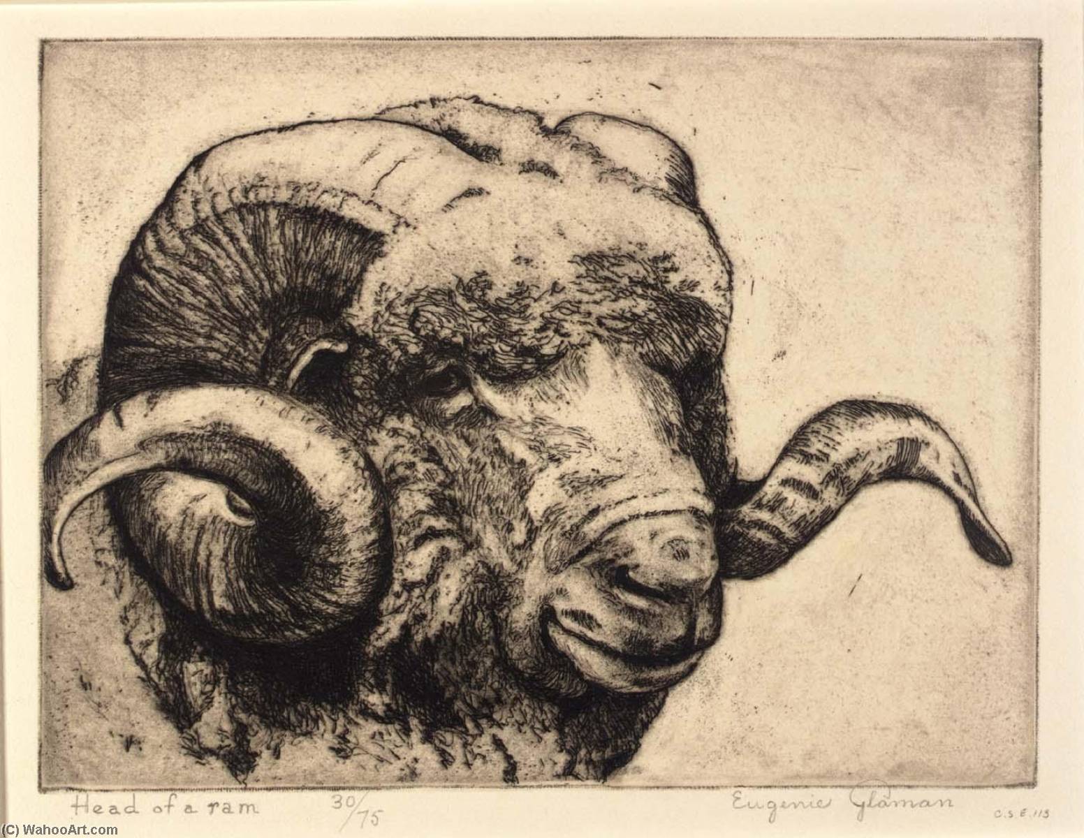 Wikioo.org - The Encyclopedia of Fine Arts - Painting, Artwork by Eugenie Fish Glaman - Head of a Ram