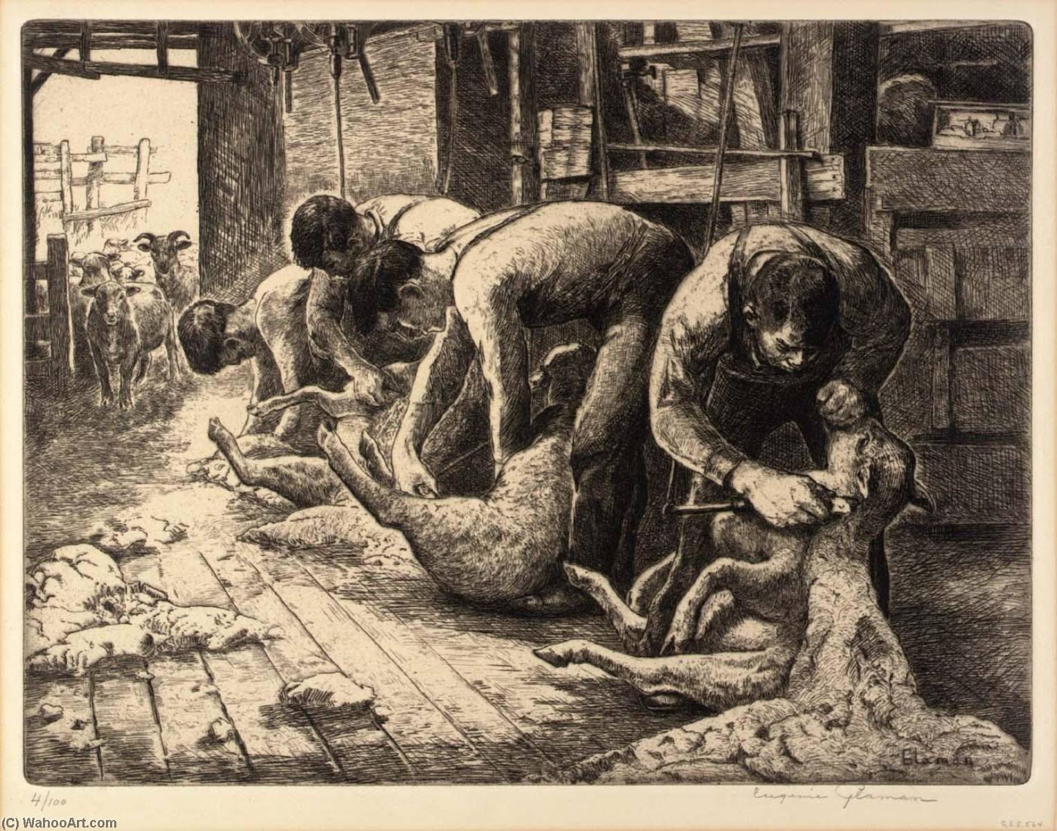 WikiOO.org - Encyclopedia of Fine Arts - Lukisan, Artwork Eugenie Fish Glaman - Shearing Sheep