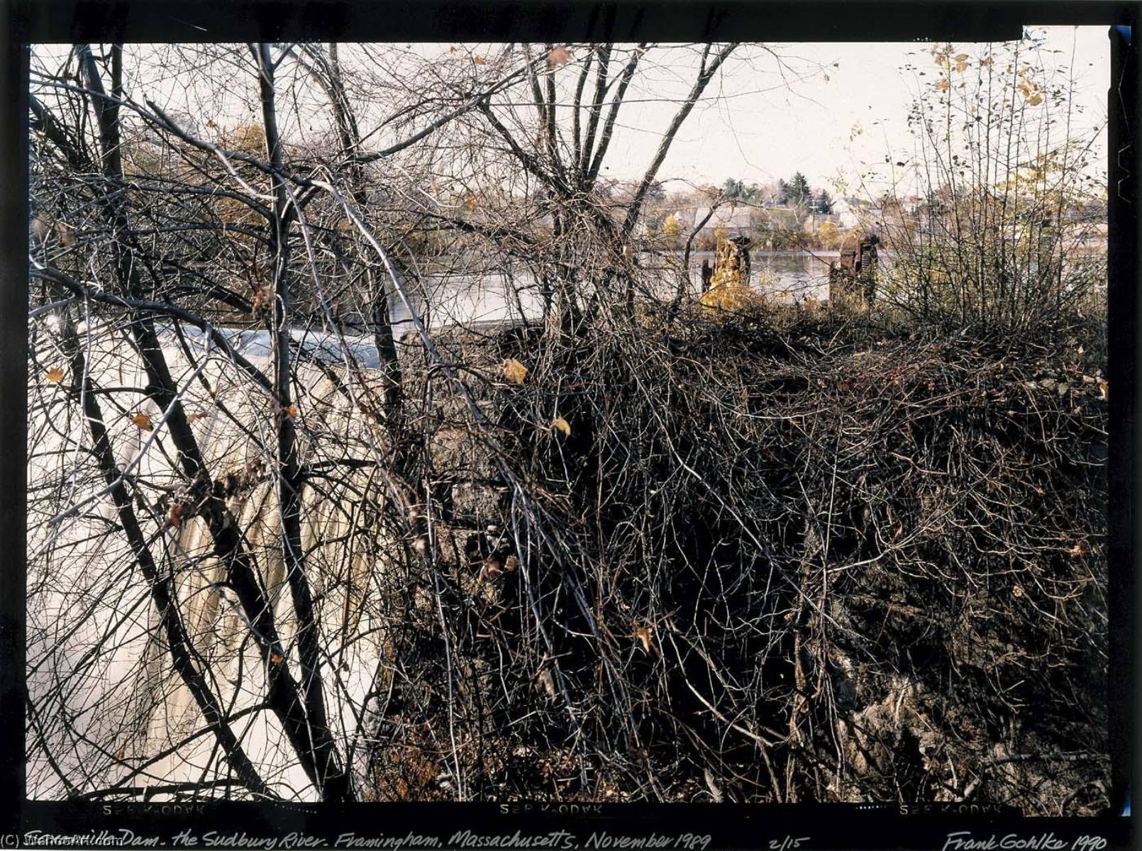 WikiOO.org - Encyclopedia of Fine Arts - Målning, konstverk Frank Gohlke - Reservoir 3 on the Sudbury River Framingham, Mass., January, 1990