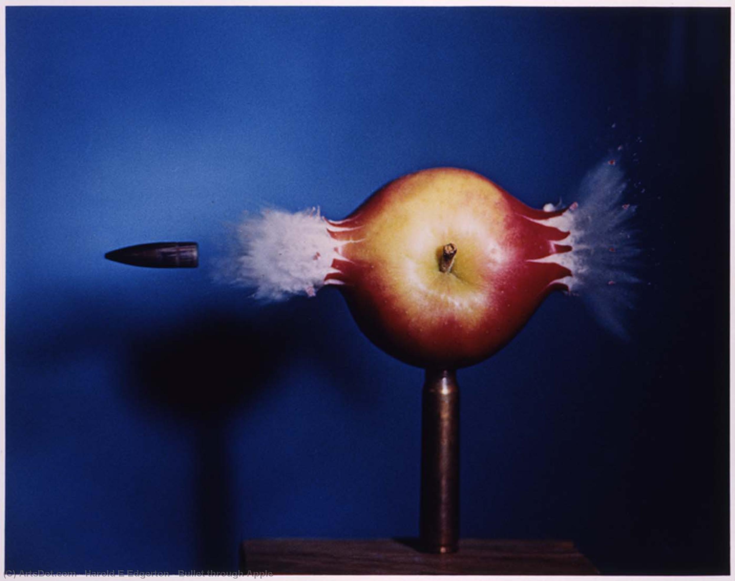 WikiOO.org - Enciclopedia of Fine Arts - Pictura, lucrări de artă Harold E Edgerton - Bullet through Apple