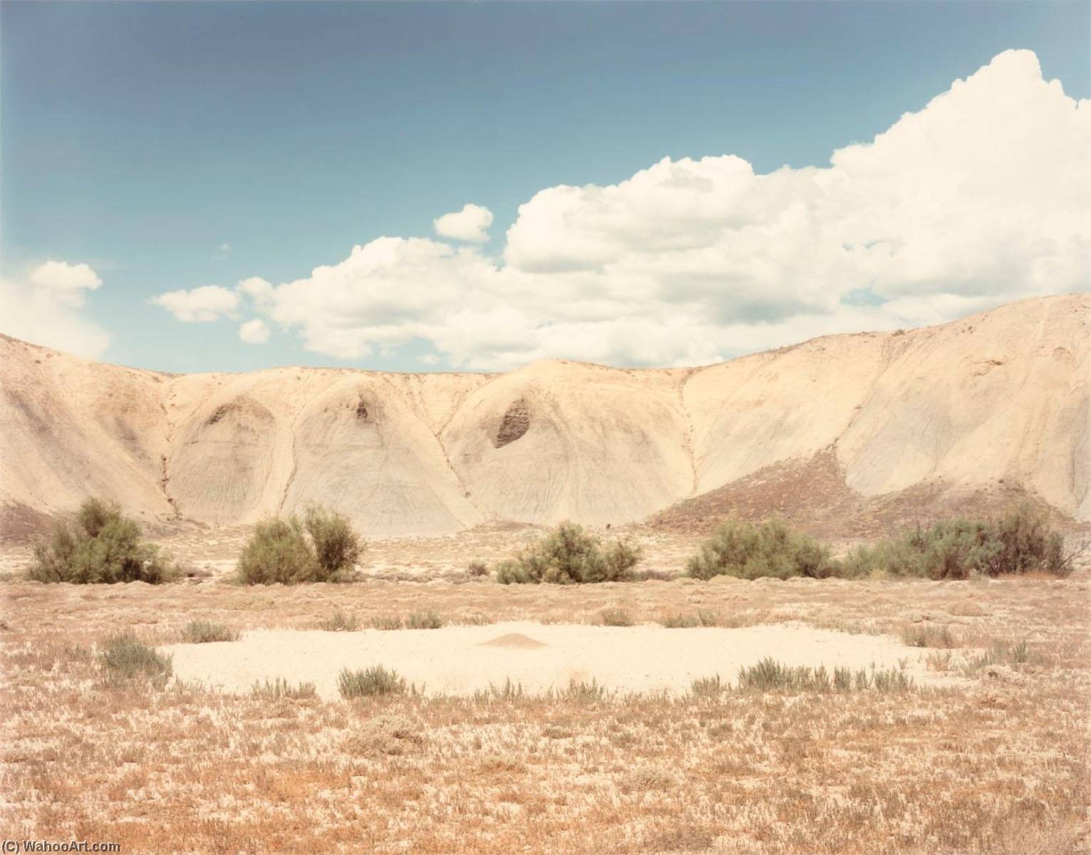 WikiOO.org - Encyclopedia of Fine Arts - Målning, konstverk Frank Di Perna - Ant Hill, Delta Colorado, from the portfolio Shadowless Places, Deserts of the Southwest