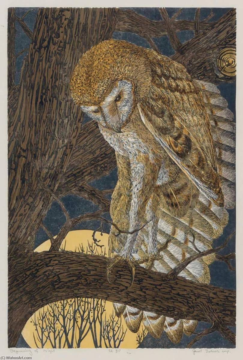 WikiOO.org - אנציקלופדיה לאמנויות יפות - ציור, יצירות אמנות Janet E Turner - Beginning of Night