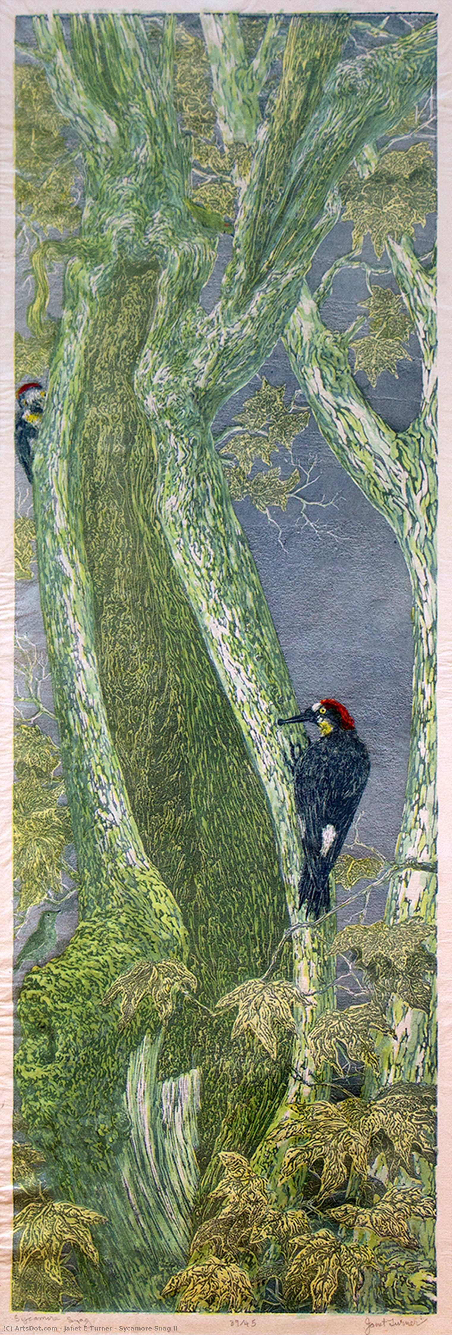 WikiOO.org - Encyclopedia of Fine Arts - Maleri, Artwork Janet E Turner - Sycamore Snag II