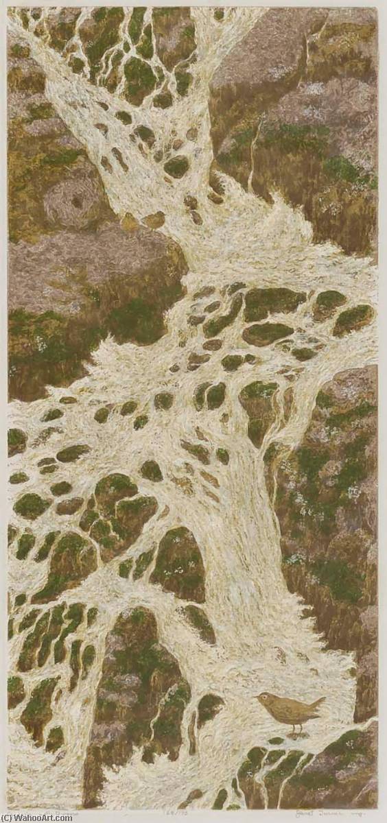 WikiOO.org - אנציקלופדיה לאמנויות יפות - ציור, יצירות אמנות Janet E Turner - Cascade with Dippers
