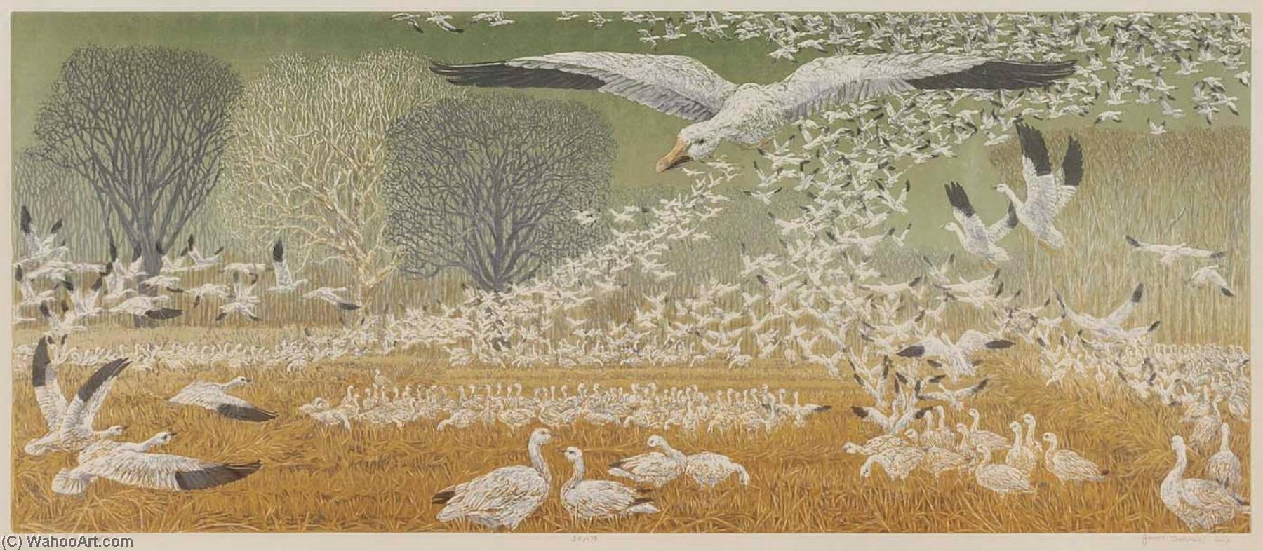 Wikioo.org - The Encyclopedia of Fine Arts - Painting, Artwork by Janet E Turner - Wintering Snow Geese