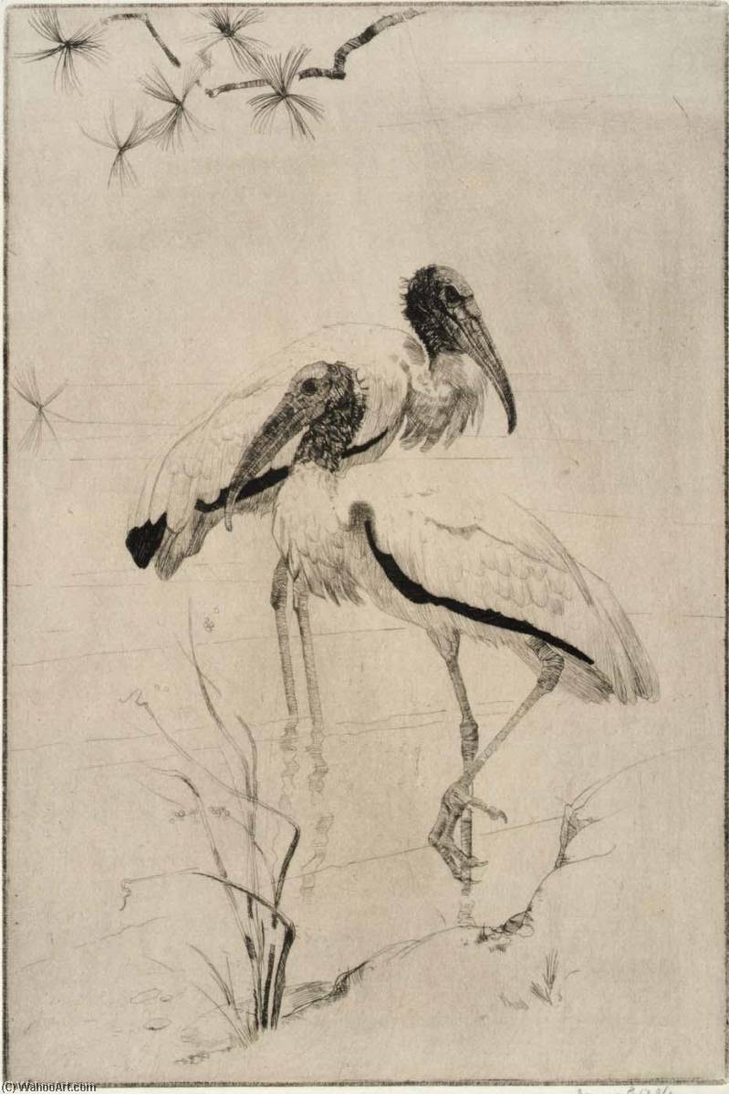Wikioo.org - The Encyclopedia of Fine Arts - Painting, Artwork by James E Allen - Wood Ibis