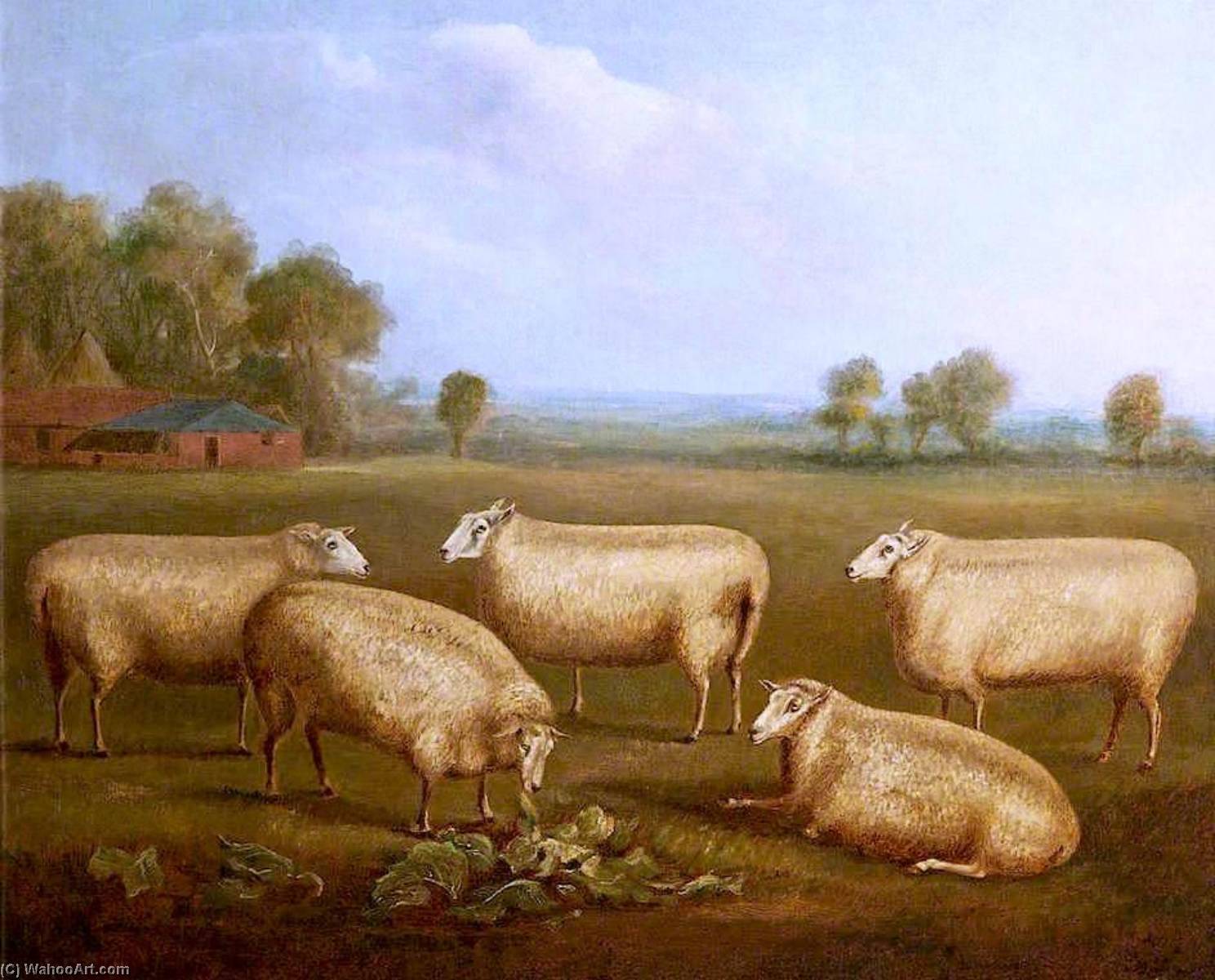 Wikioo.org - The Encyclopedia of Fine Arts - Painting, Artwork by William Henry Davis - Five Leicester Sheep