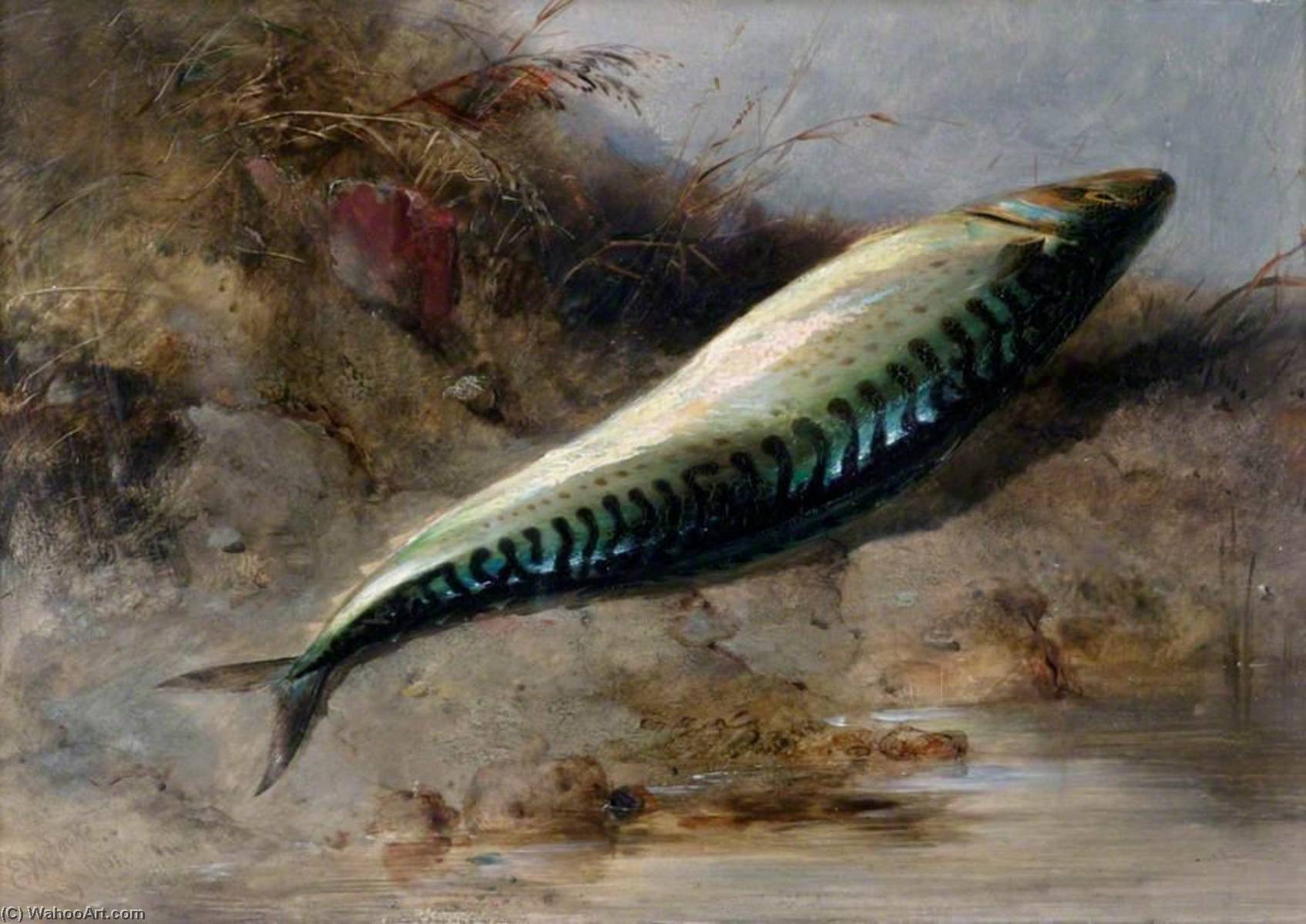 Wikioo.org - The Encyclopedia of Fine Arts - Painting, Artwork by Edward William Cooke - A Mackerel on the Seashore