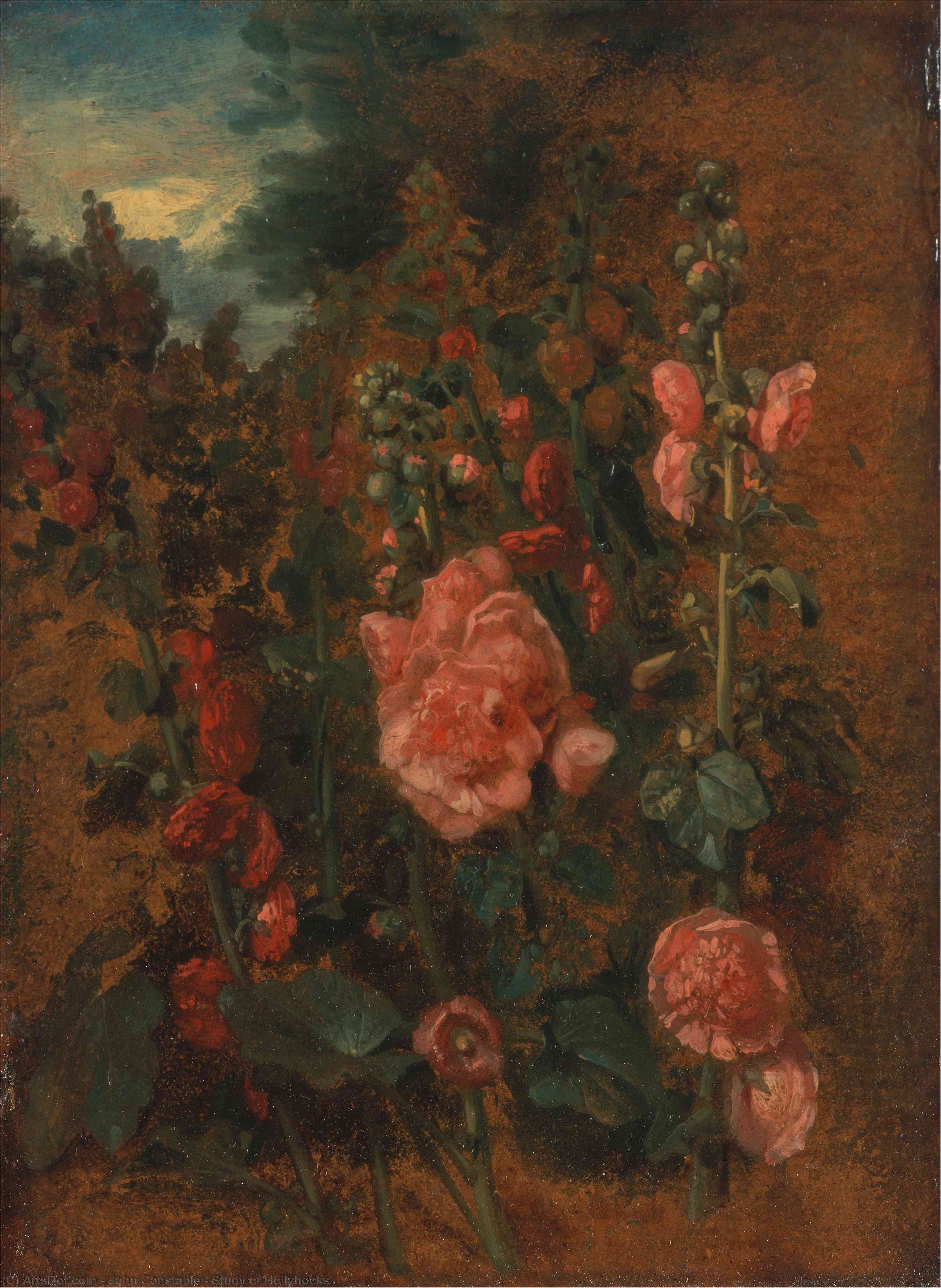 Wikioo.org - The Encyclopedia of Fine Arts - Painting, Artwork by John Constable - Study of Hollyhocks