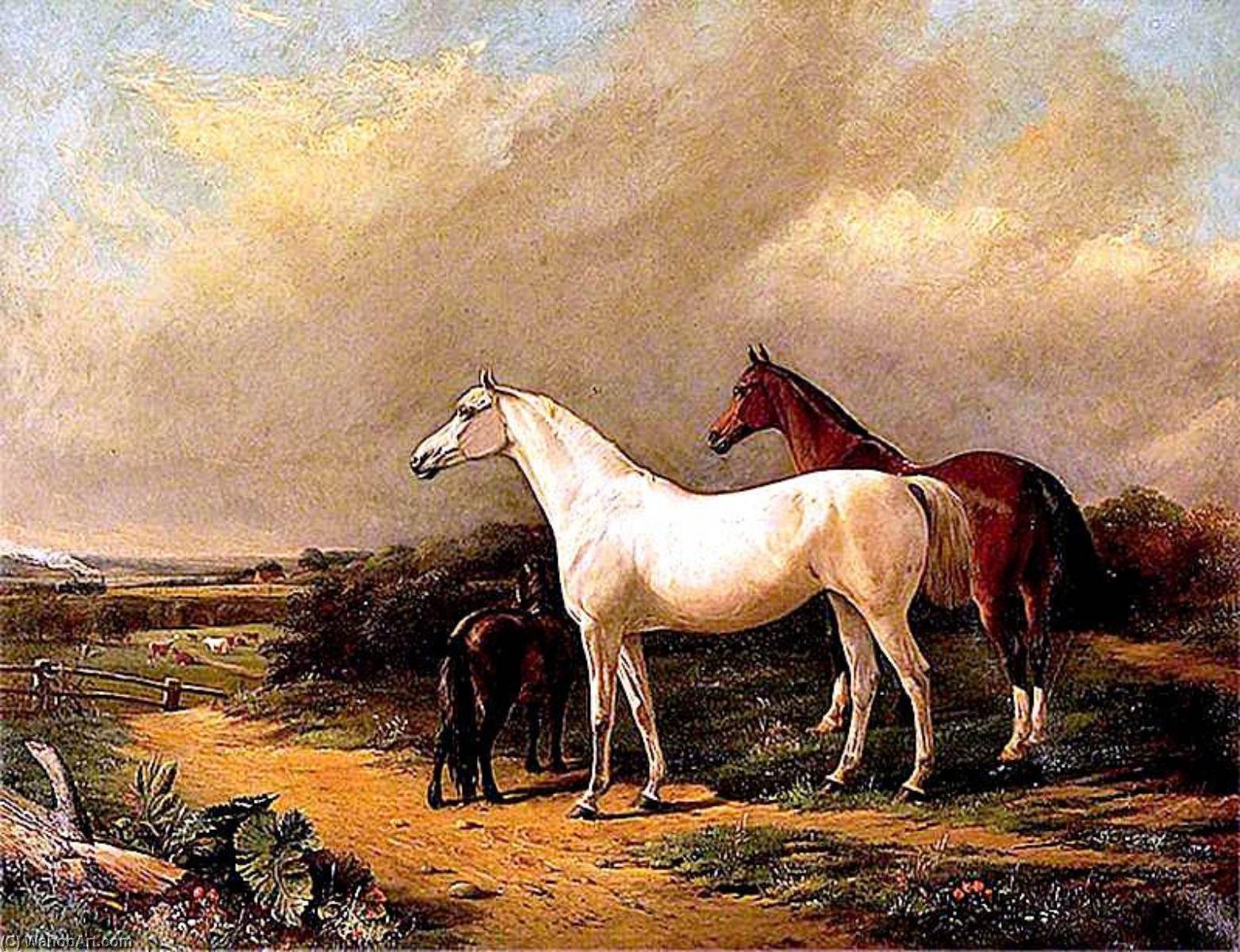 WikiOO.org - Енциклопедія образотворчого мистецтва - Живопис, Картини
 John Duval - Horses in Stoke Park, Suffolk