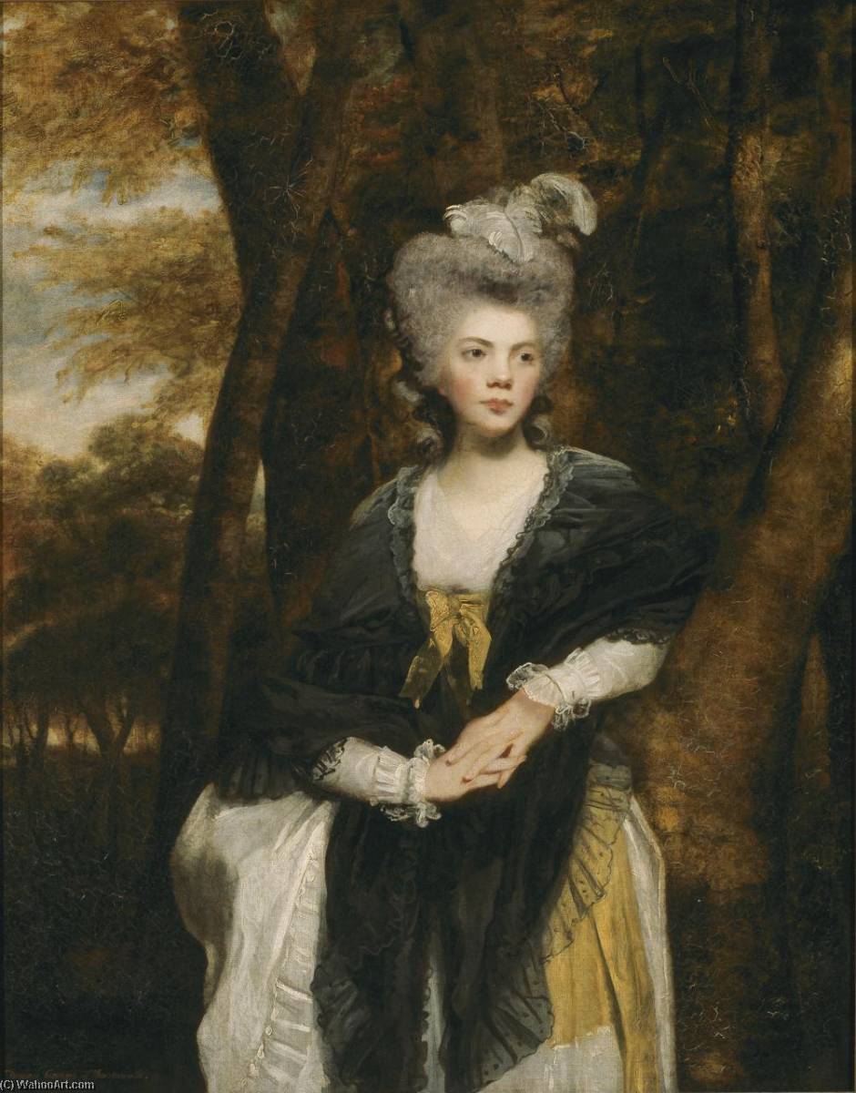 Wikioo.org - The Encyclopedia of Fine Arts - Painting, Artwork by Joshua Reynolds - Lady Frances Finch