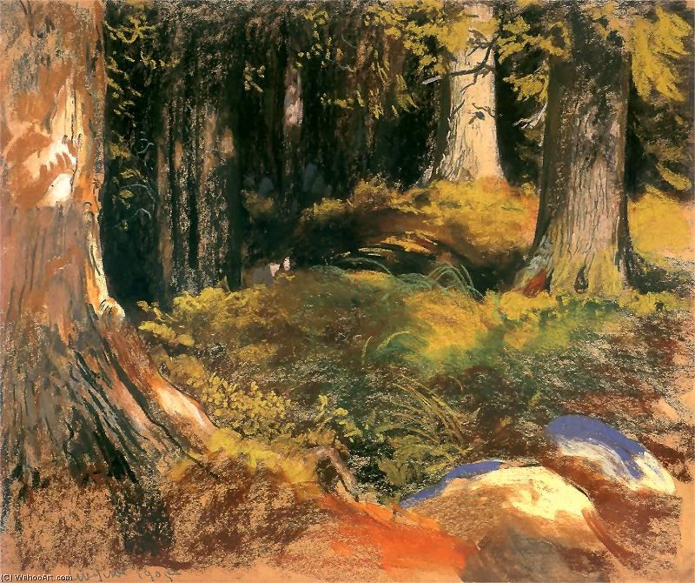 Wikioo.org - The Encyclopedia of Fine Arts - Painting, Artwork by Leon Jan Wyczolkowski - Forest in Zakopane