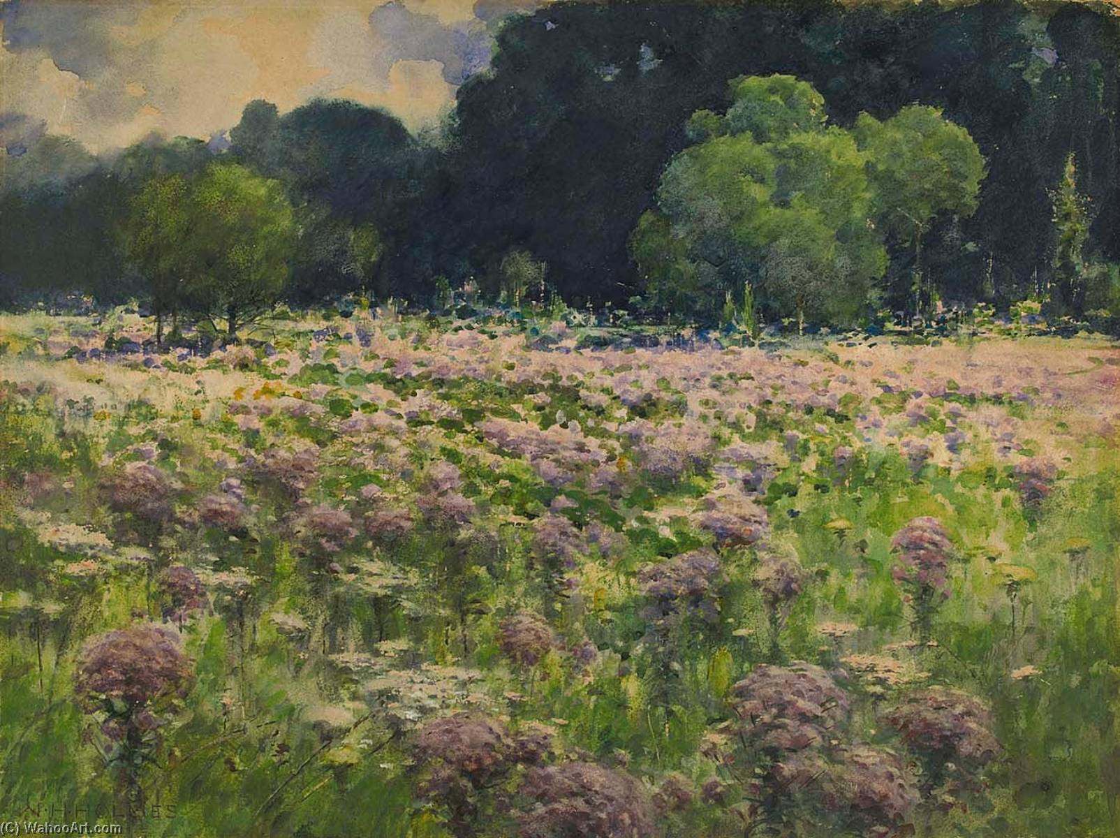 Wikioo.org – L'Encyclopédie des Beaux Arts - Peinture, Oeuvre de William Henry Holmes - Domaine de l joe pie weeds ( Fierte de le prairie )