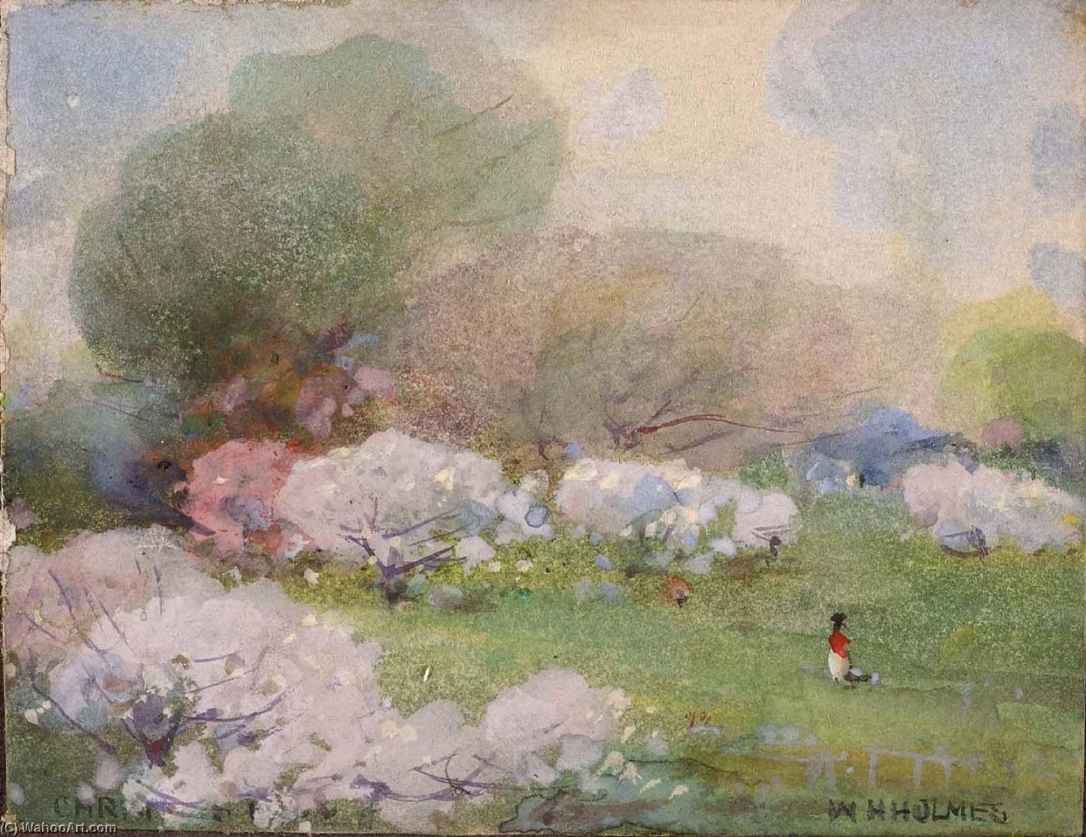 Wikioo.org – L'Encyclopédie des Beaux Arts - Peinture, Oeuvre de William Henry Holmes - Fleurs De Cerisier