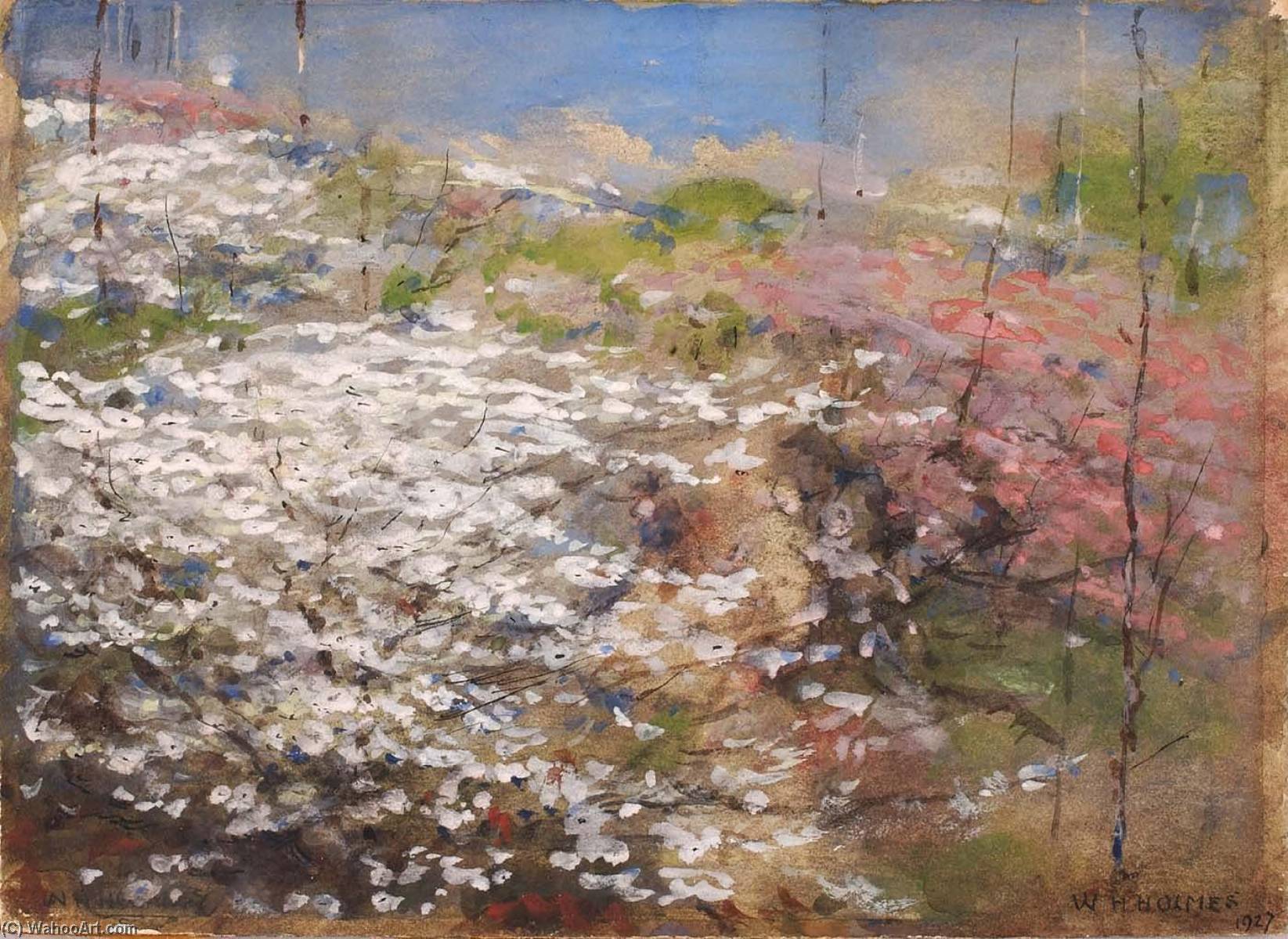 Wikioo.org - The Encyclopedia of Fine Arts - Painting, Artwork by William Henry Holmes - Field of Blossoms