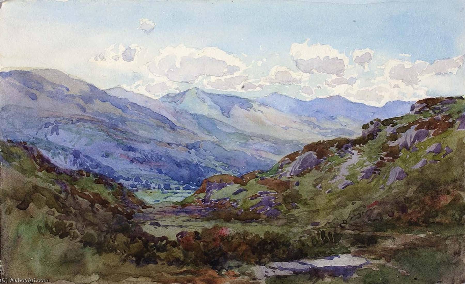Wikioo.org - The Encyclopedia of Fine Arts - Painting, Artwork by George Elbert Burr - From above Pont y Pant