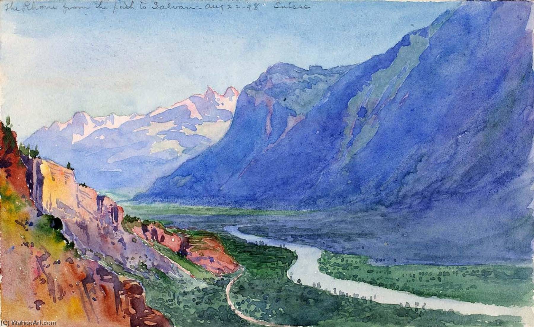 Wikioo.org - The Encyclopedia of Fine Arts - Painting, Artwork by George Elbert Burr - The Rhone from the Path to Salvari (Switzerland)