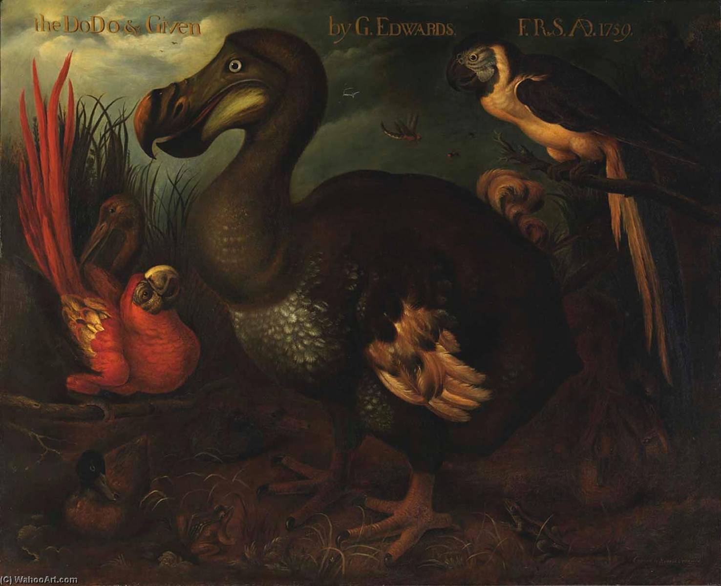 Wikioo.org - The Encyclopedia of Fine Arts - Painting, Artwork by Henrik Grönvold - The Dodo and Given