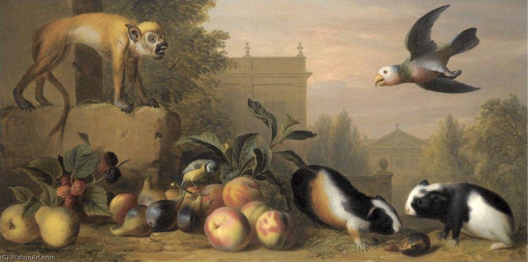 Wikioo.org - The Encyclopedia of Fine Arts - Painting, Artwork by Jakob Bogdani - Capuchin squirrel monkey, two guinea pigs, a blue tit and an Amazon St. Vincent parrot with Peaches, Figs and Pears in a landscape
